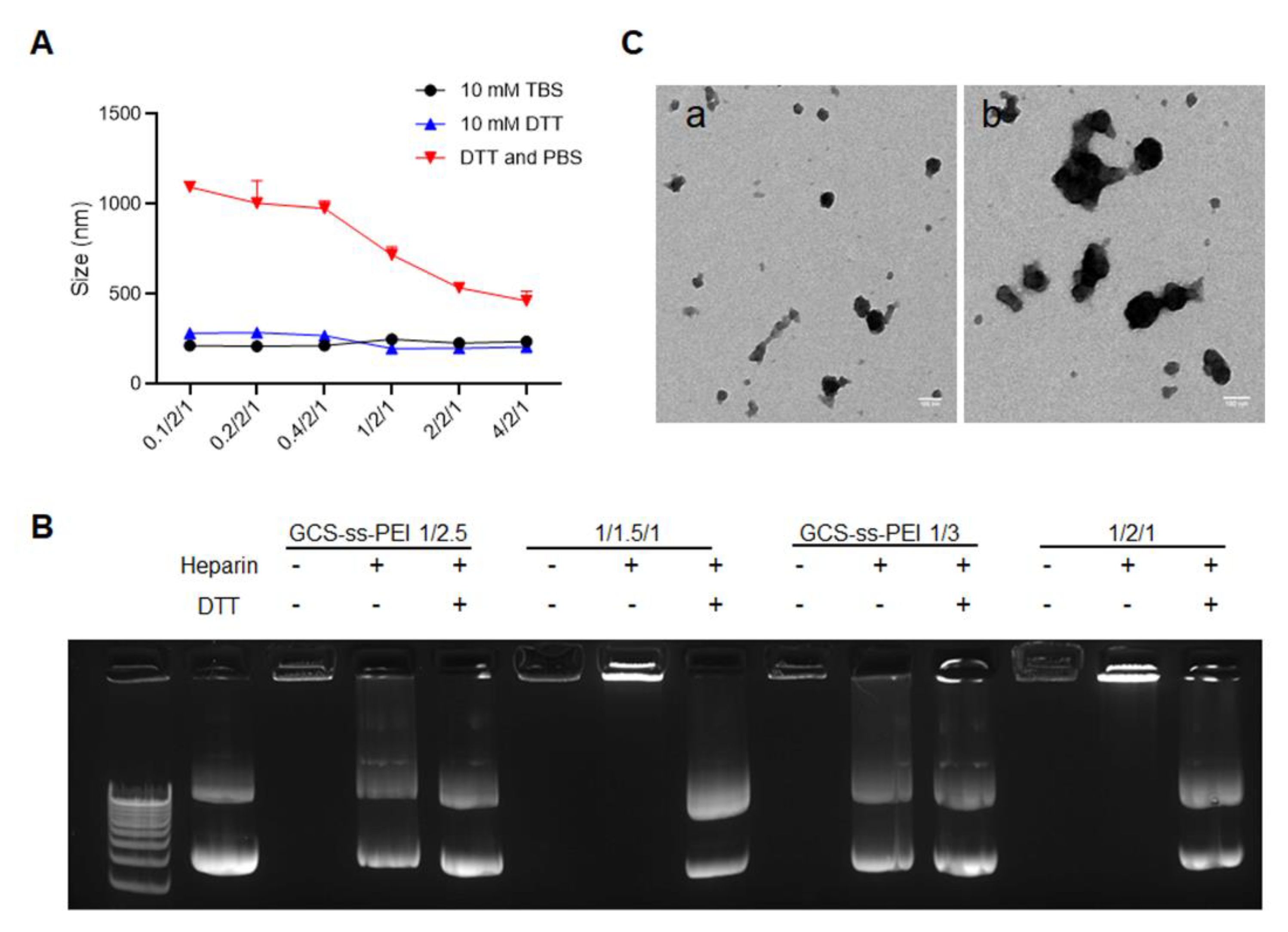 Pharmaceutics 14 00373 g002