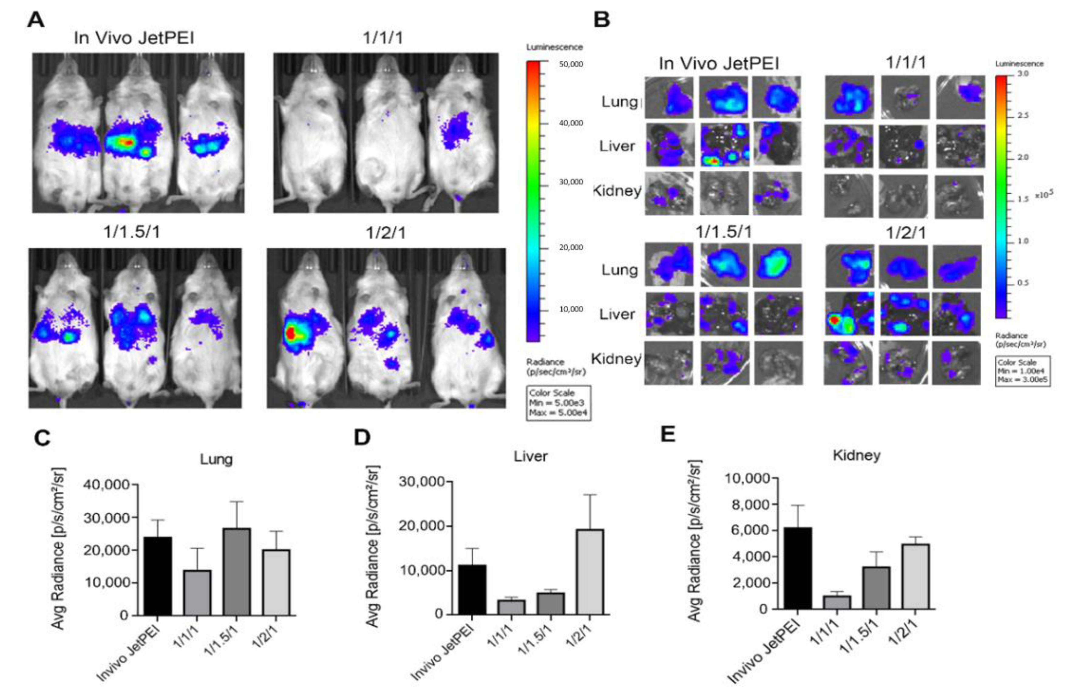Pharmaceutics 14 00373 g005