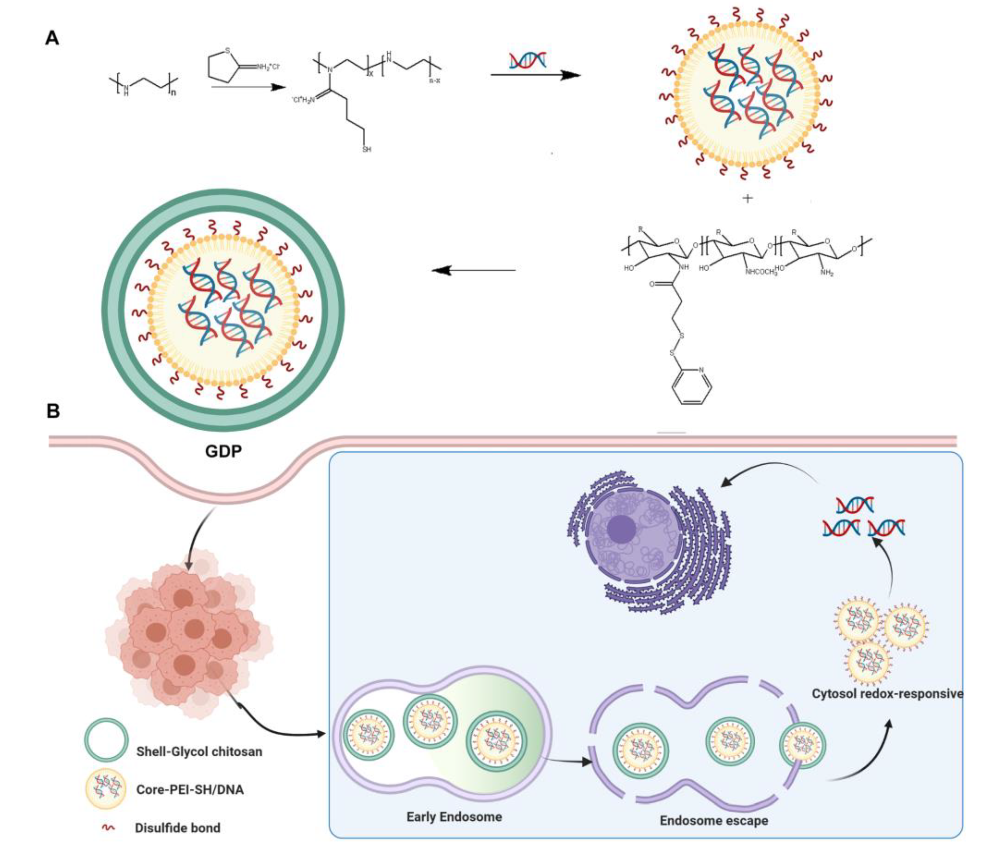 Pharmaceutics 14 00373 sch001