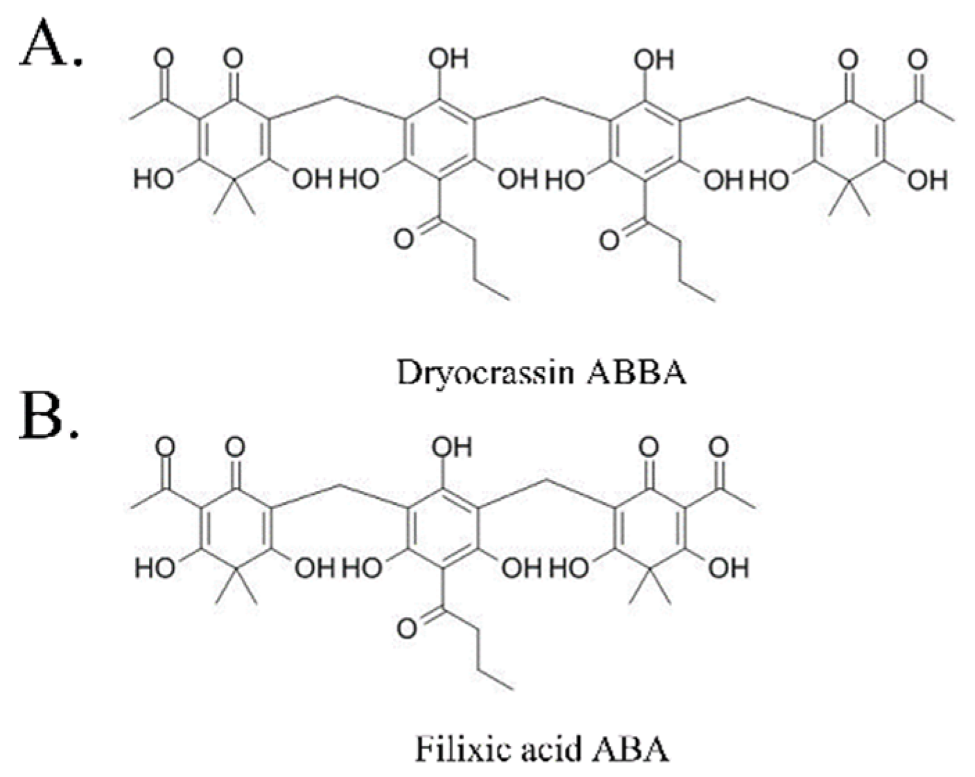 Pharmaceutics 14 00376 g001