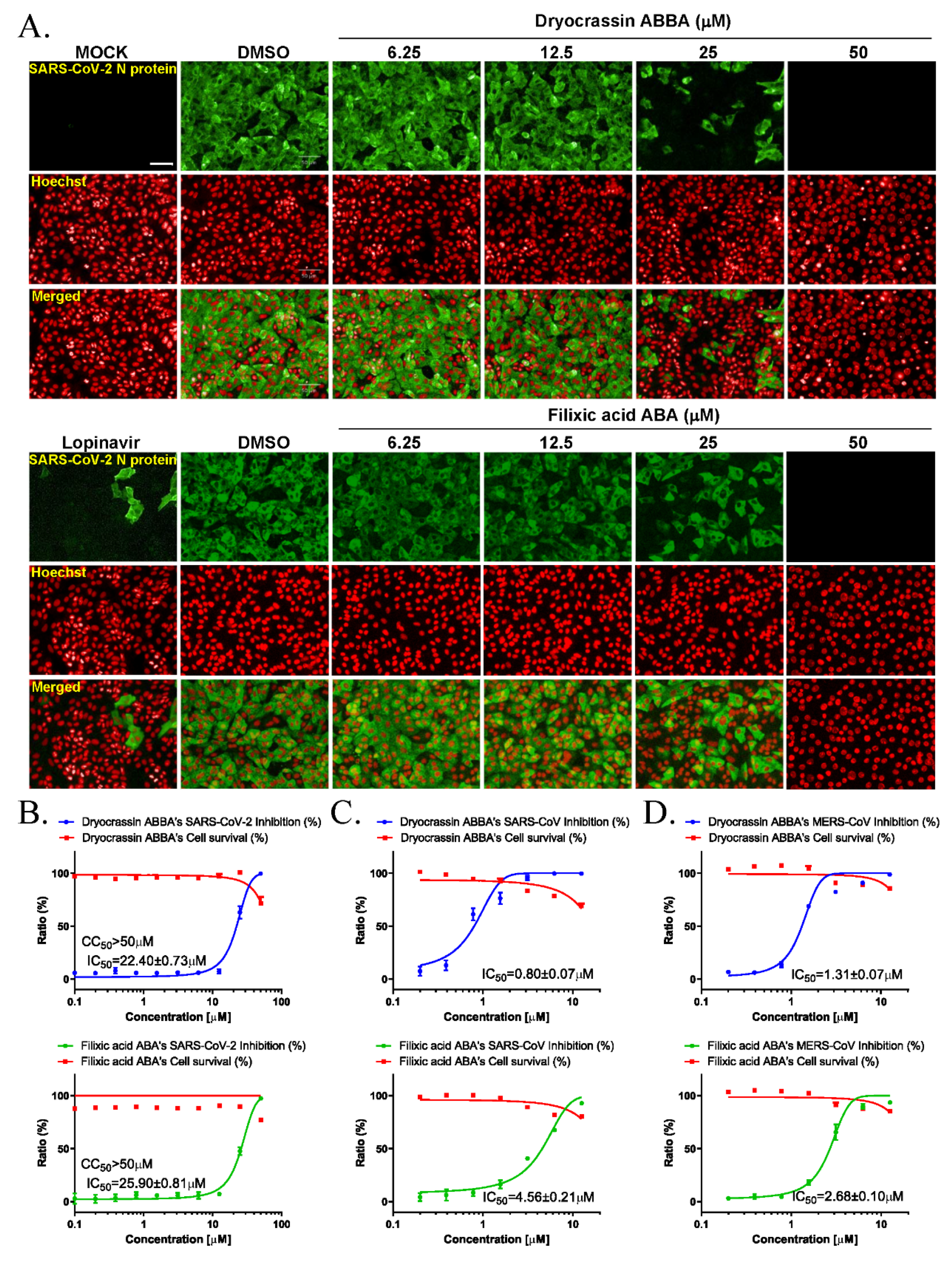 Pharmaceutics 14 00376 g003