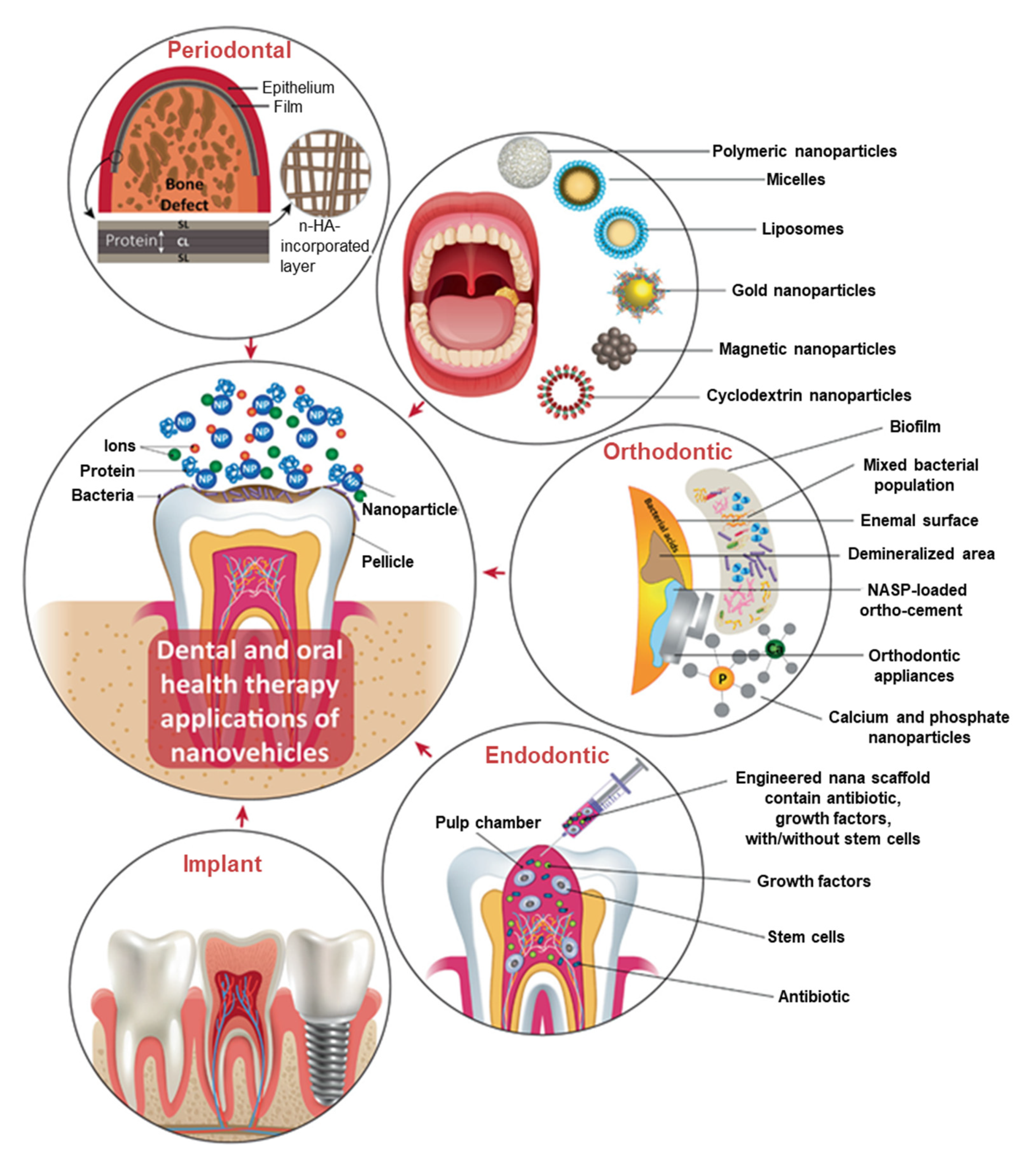 Pharmaceutics 14 00380 g001