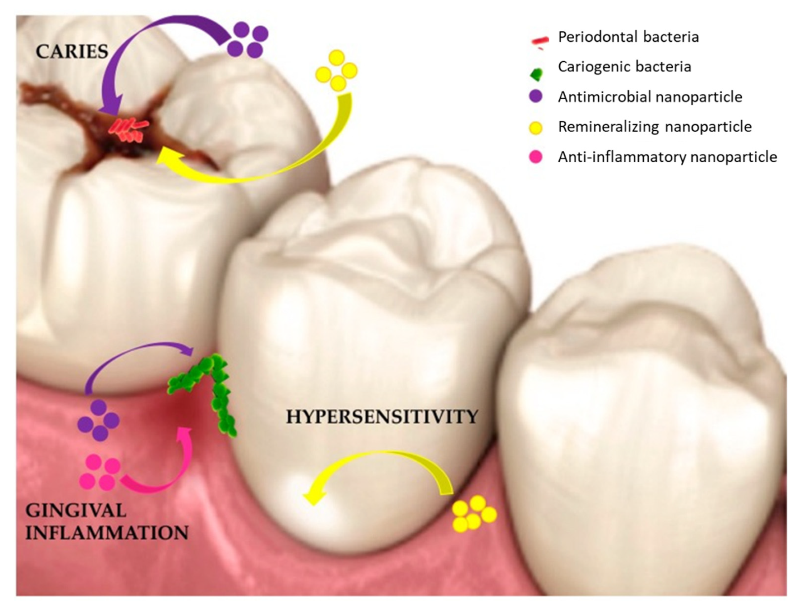 Pharmaceutics 14 00380 g002