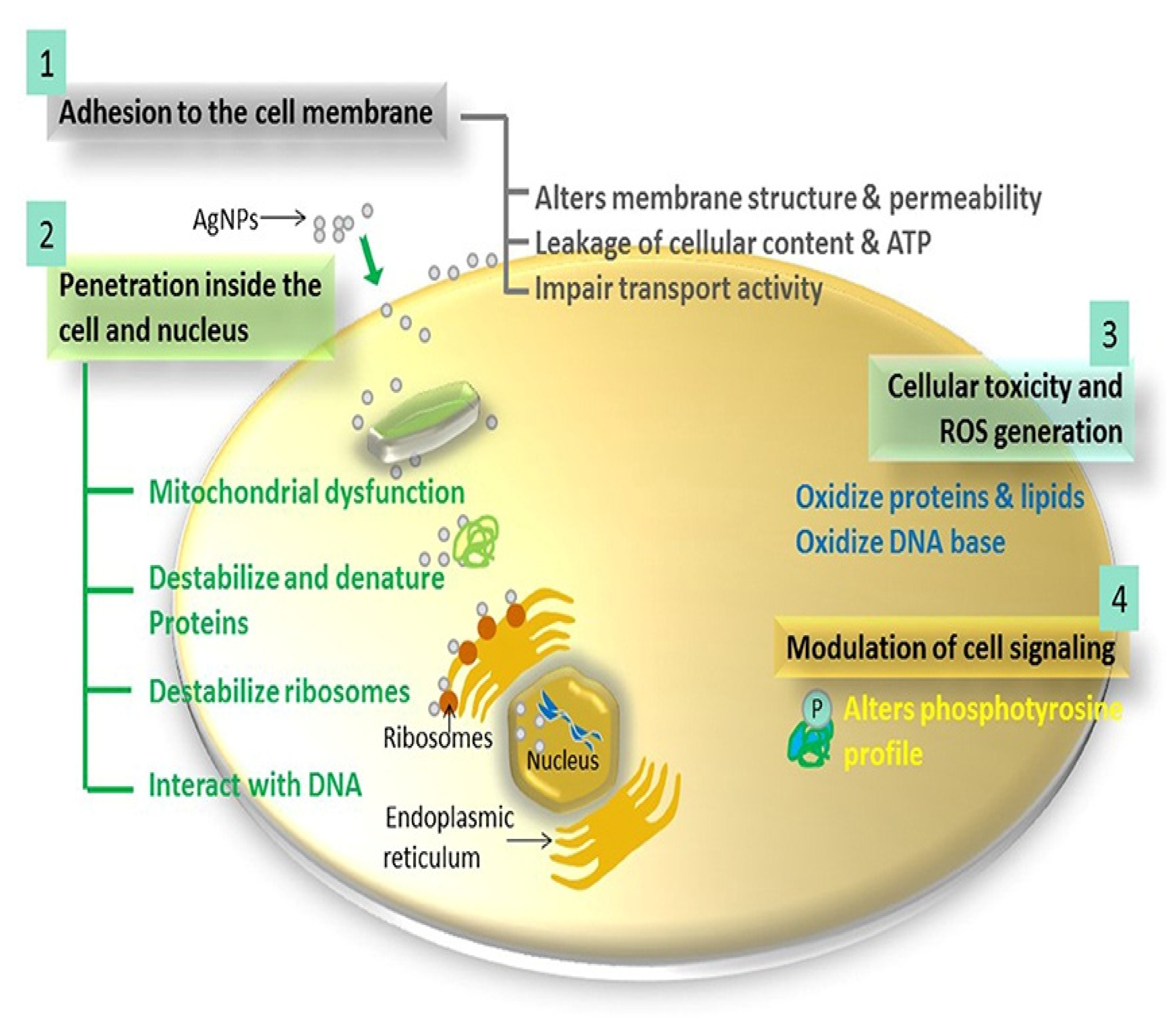 Pharmaceutics 14 00380 g003