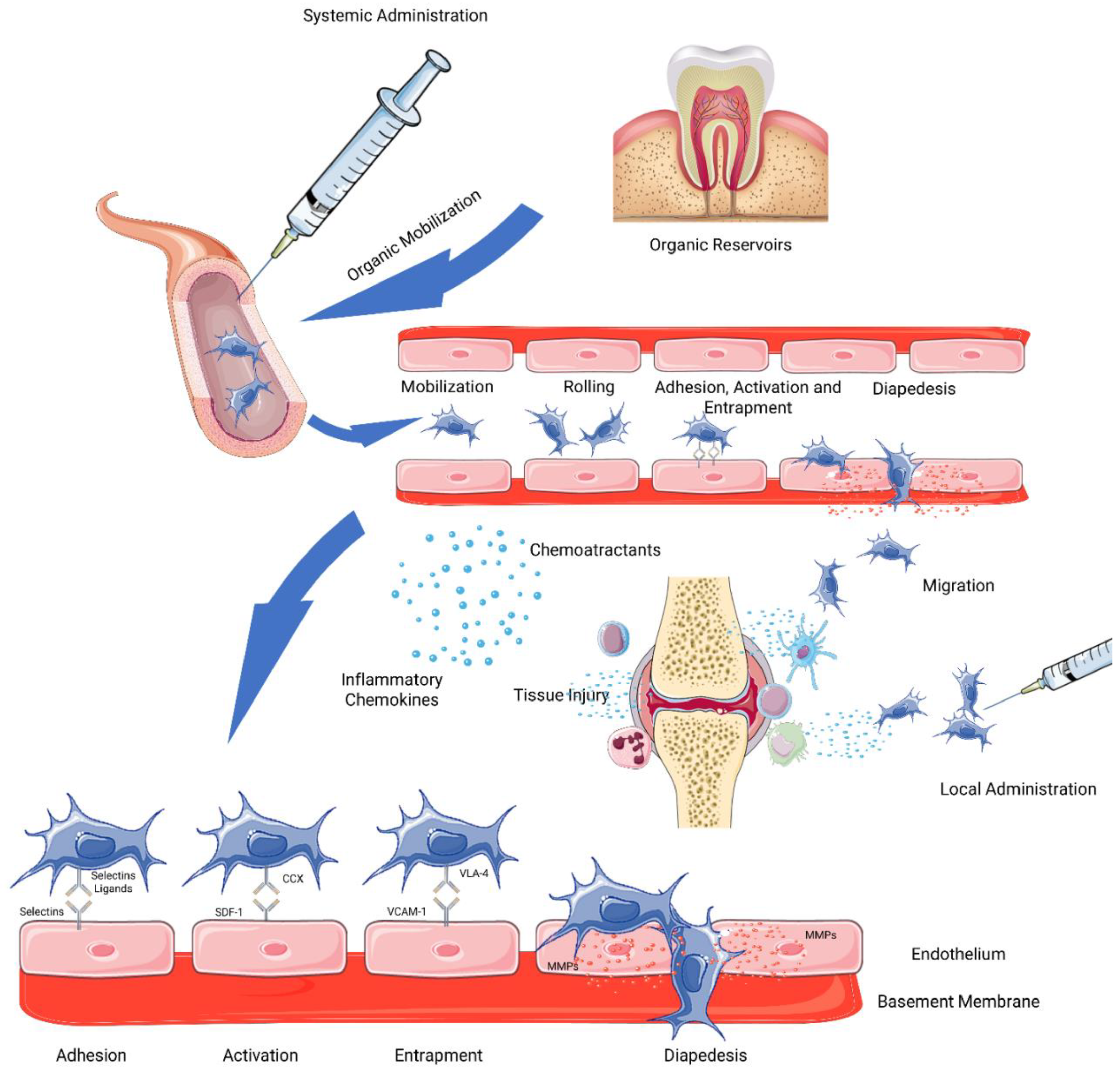 Pharmaceutics 14 00381 g001 Pharmaceutics 14 00381 g001