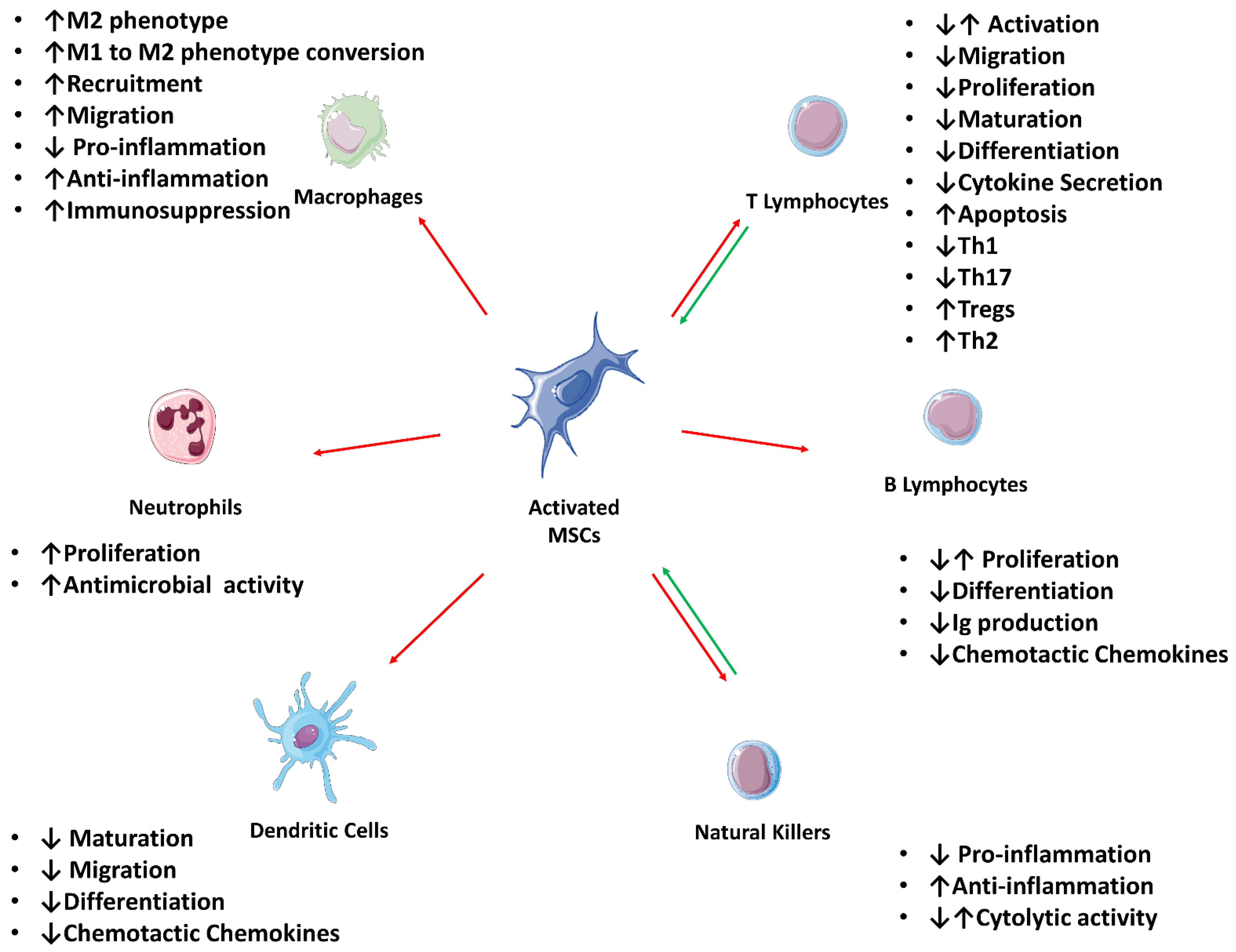 Pharmaceutics 14 00381 g002 Pharmaceutics 14 00381 g002