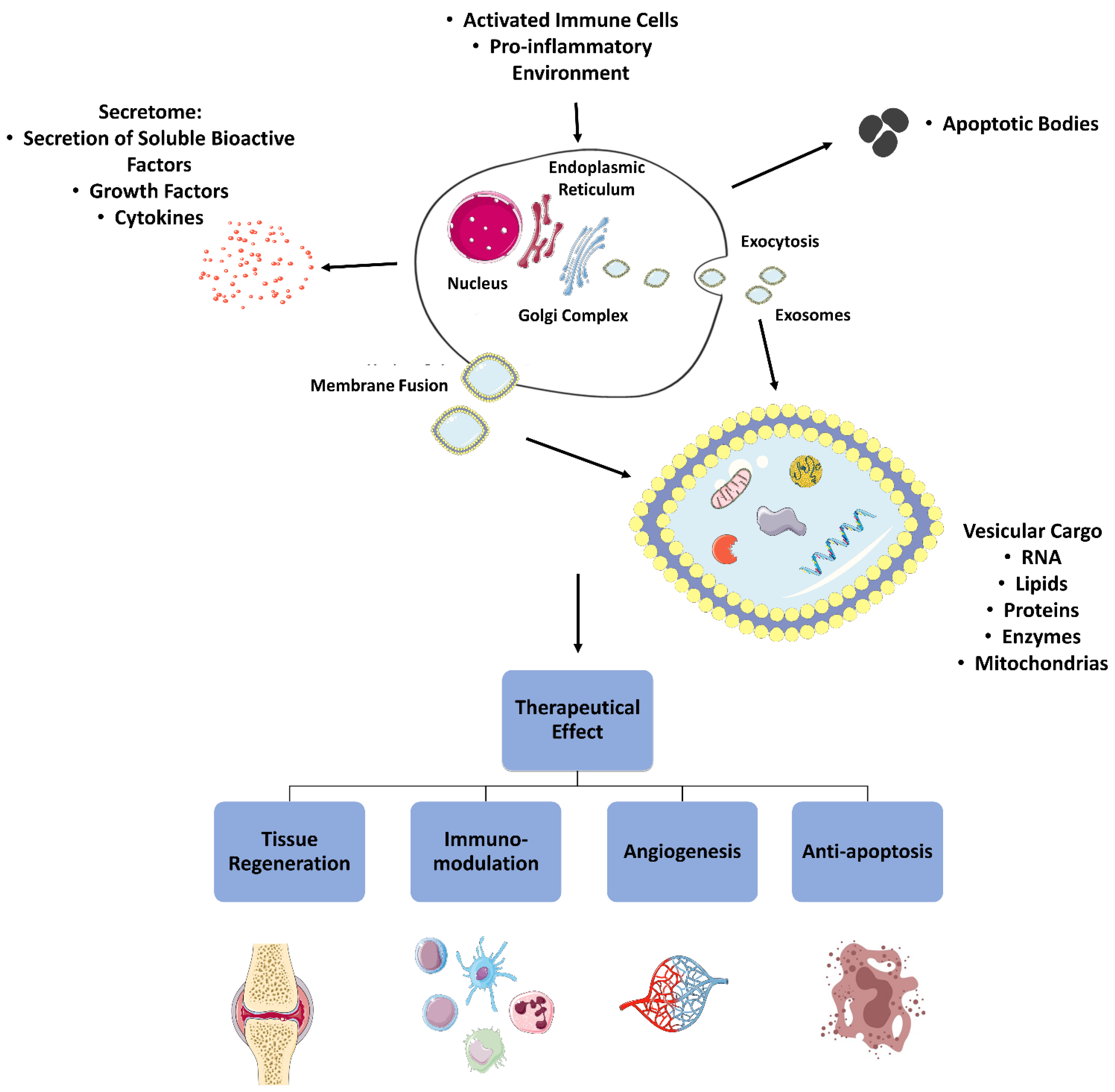 Pharmaceutics 14 00381 g003 Pharmaceutics 14 00381 g003