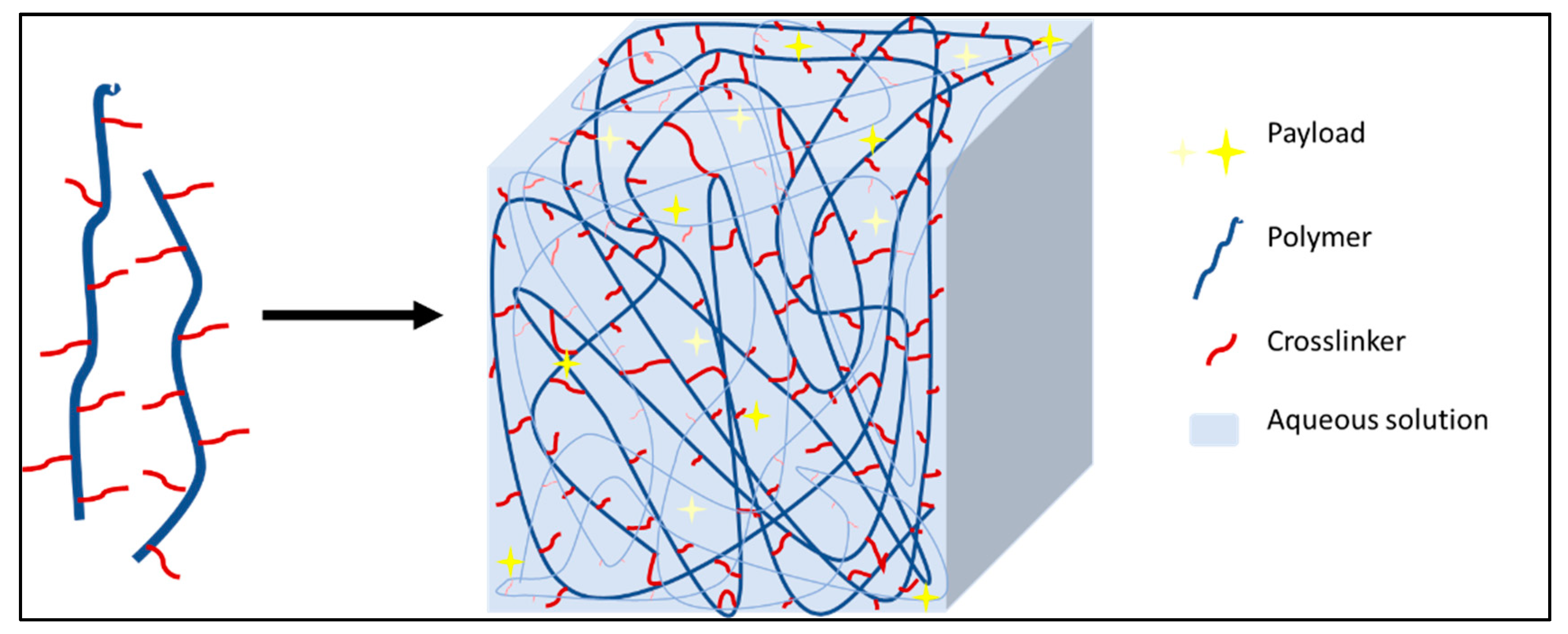 Pharmaceutics 14 00382 g006 Pharmaceutics 14 00382 g006
