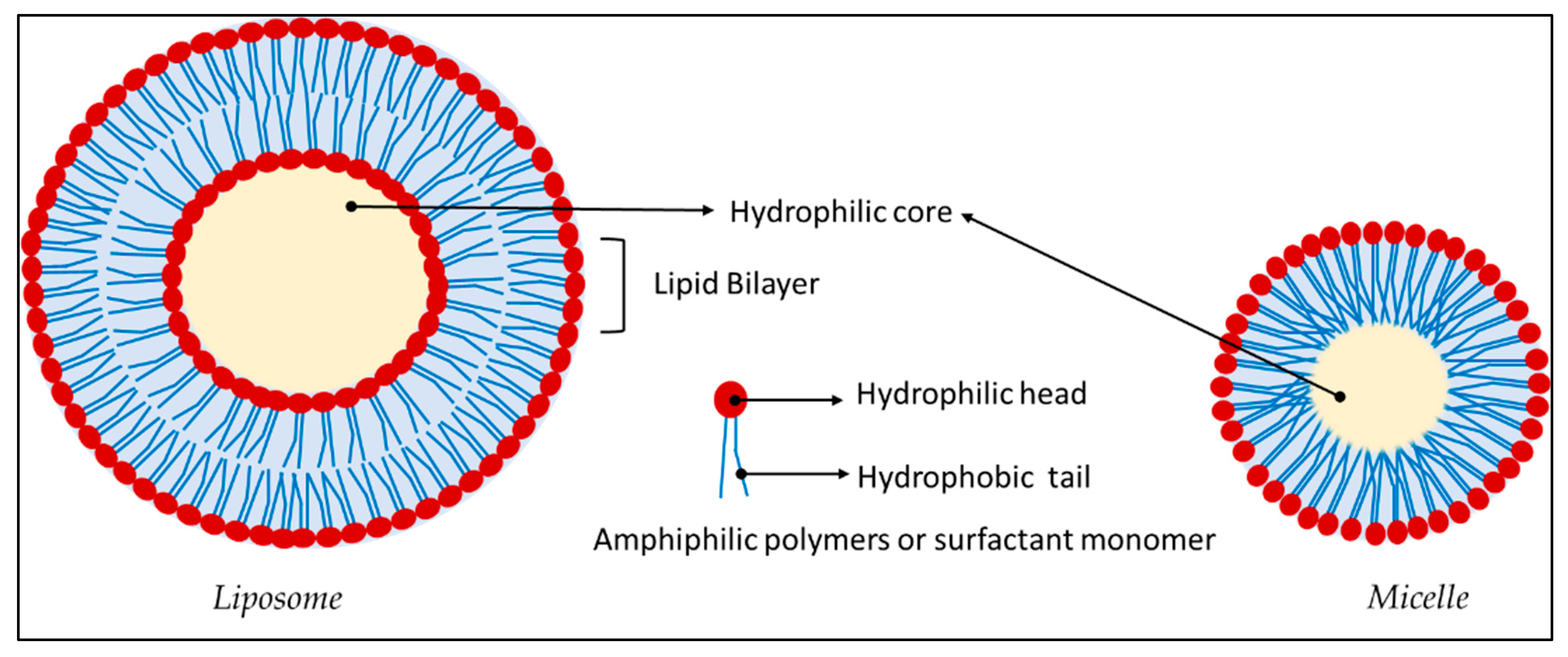 Pharmaceutics 14 00382 g007 Pharmaceutics 14 00382 g007