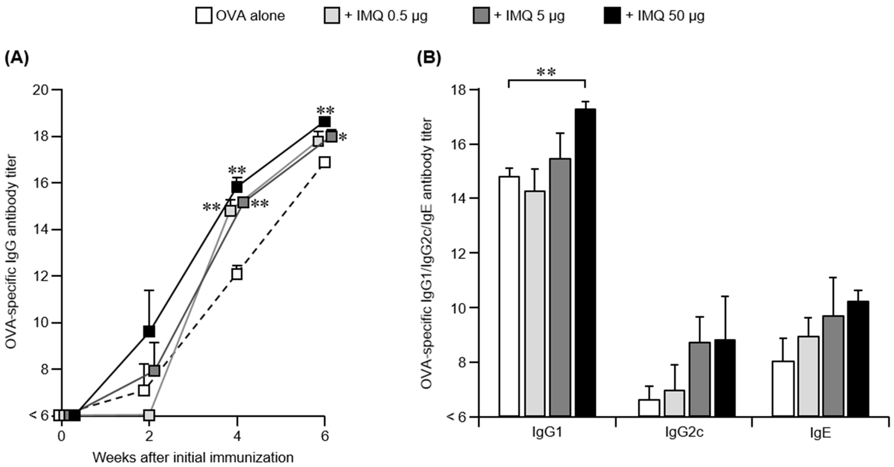 Pharmaceutics 14 00385 g001