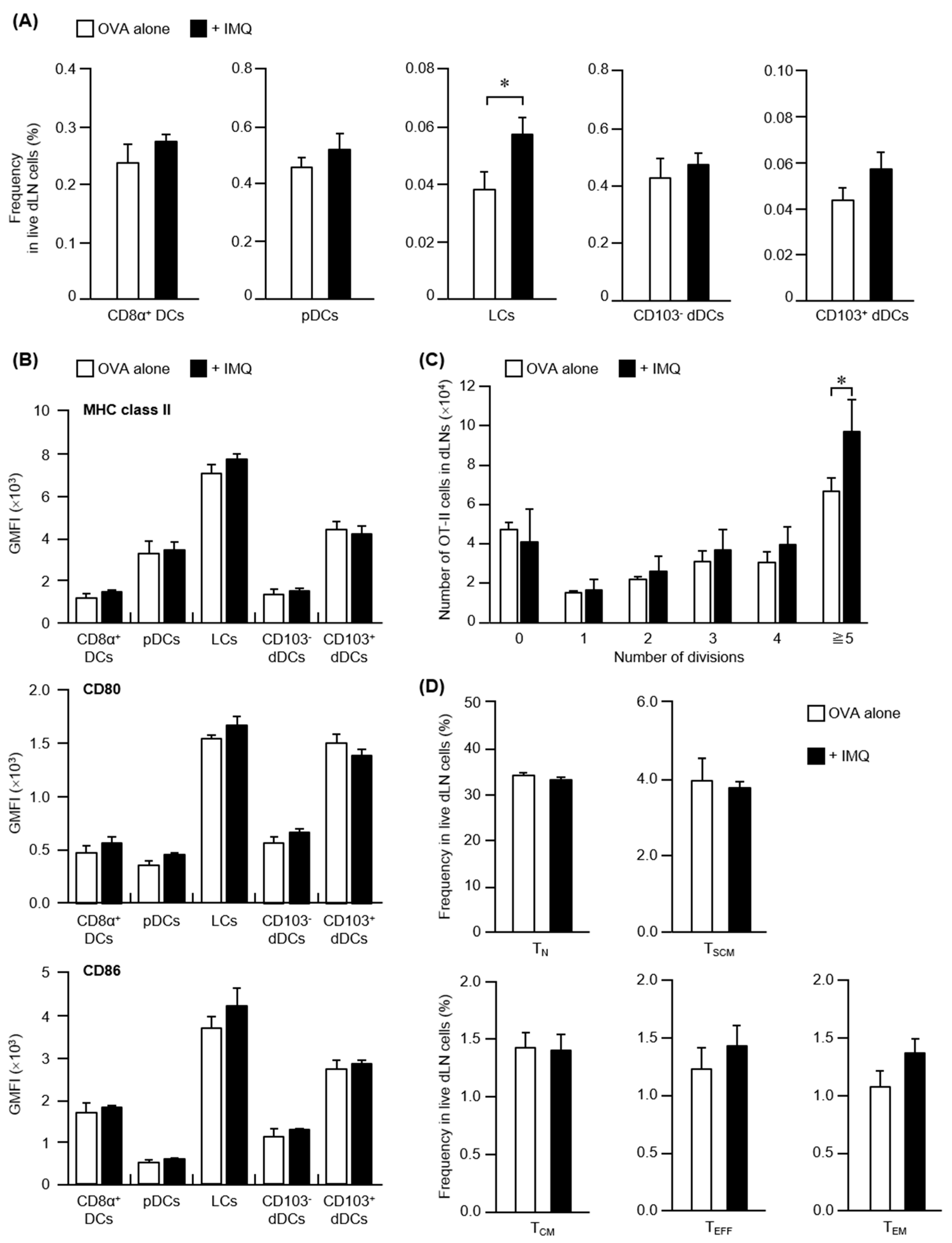Pharmaceutics 14 00385 g002