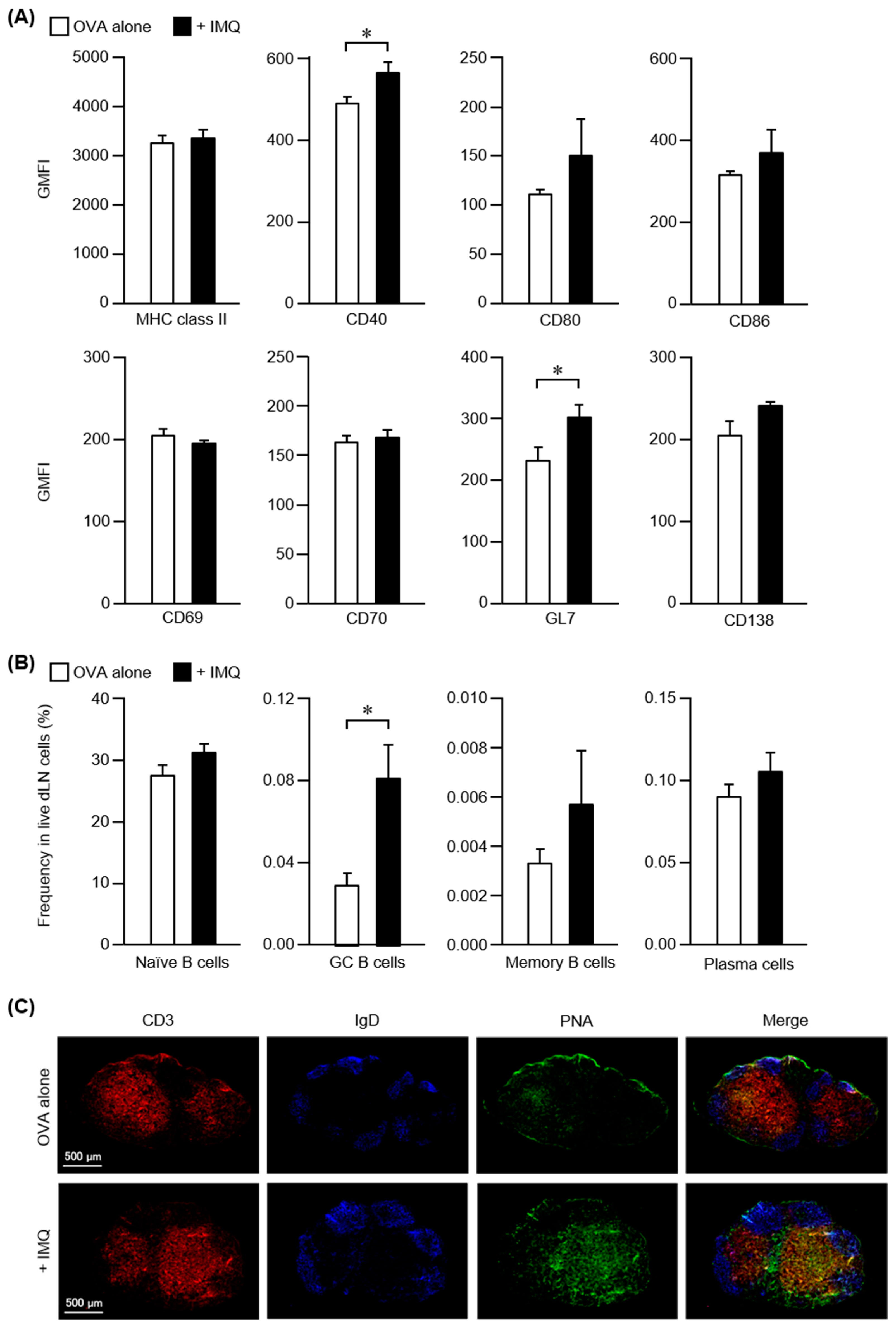 Pharmaceutics 14 00385 g003
