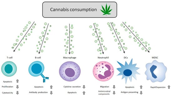 Pharmaceutics 14 00389 g002 550