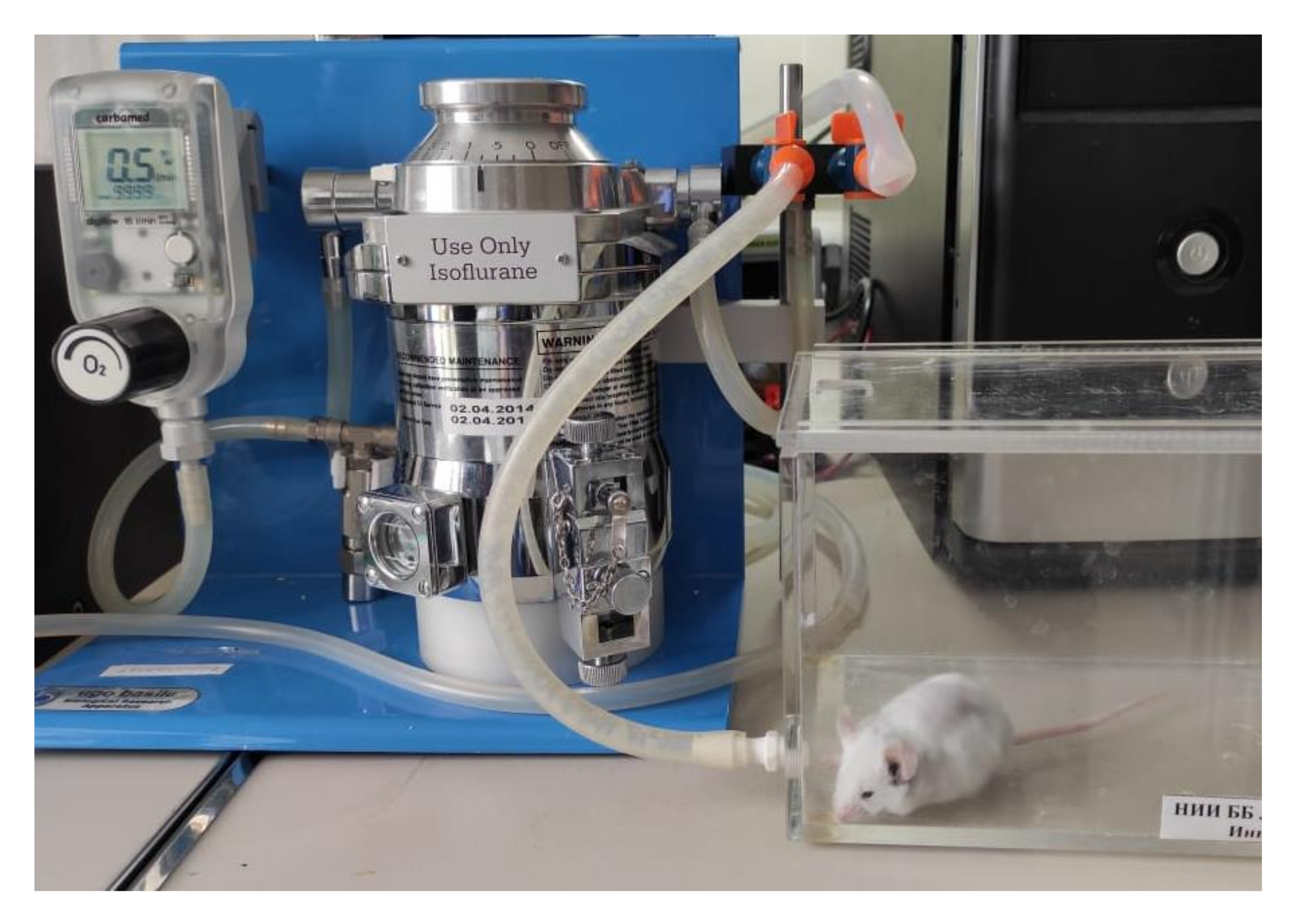 Pharmaceutics 14 00399 g001