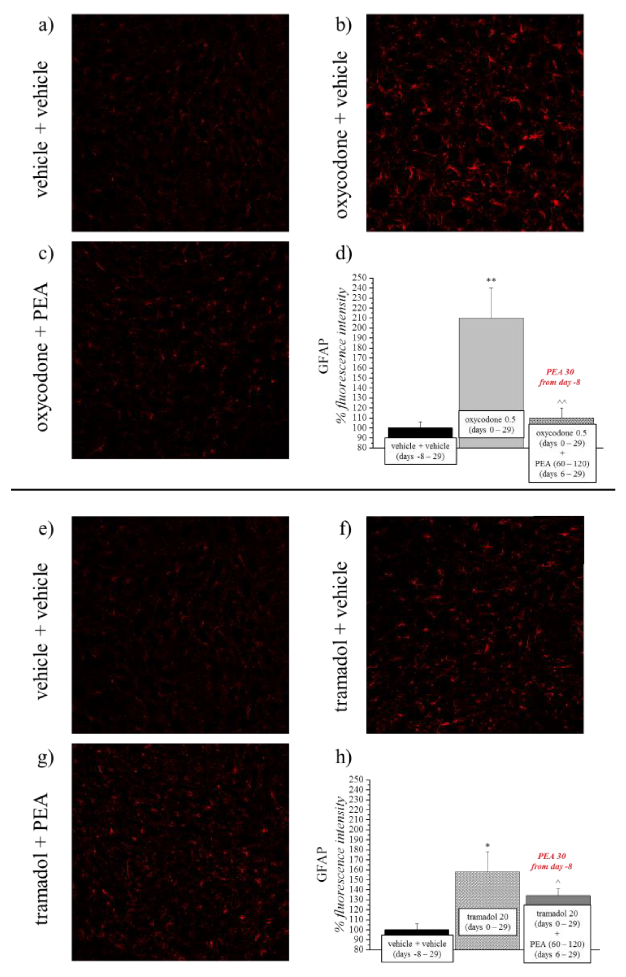 Pharmaceutics 14 00403 g004