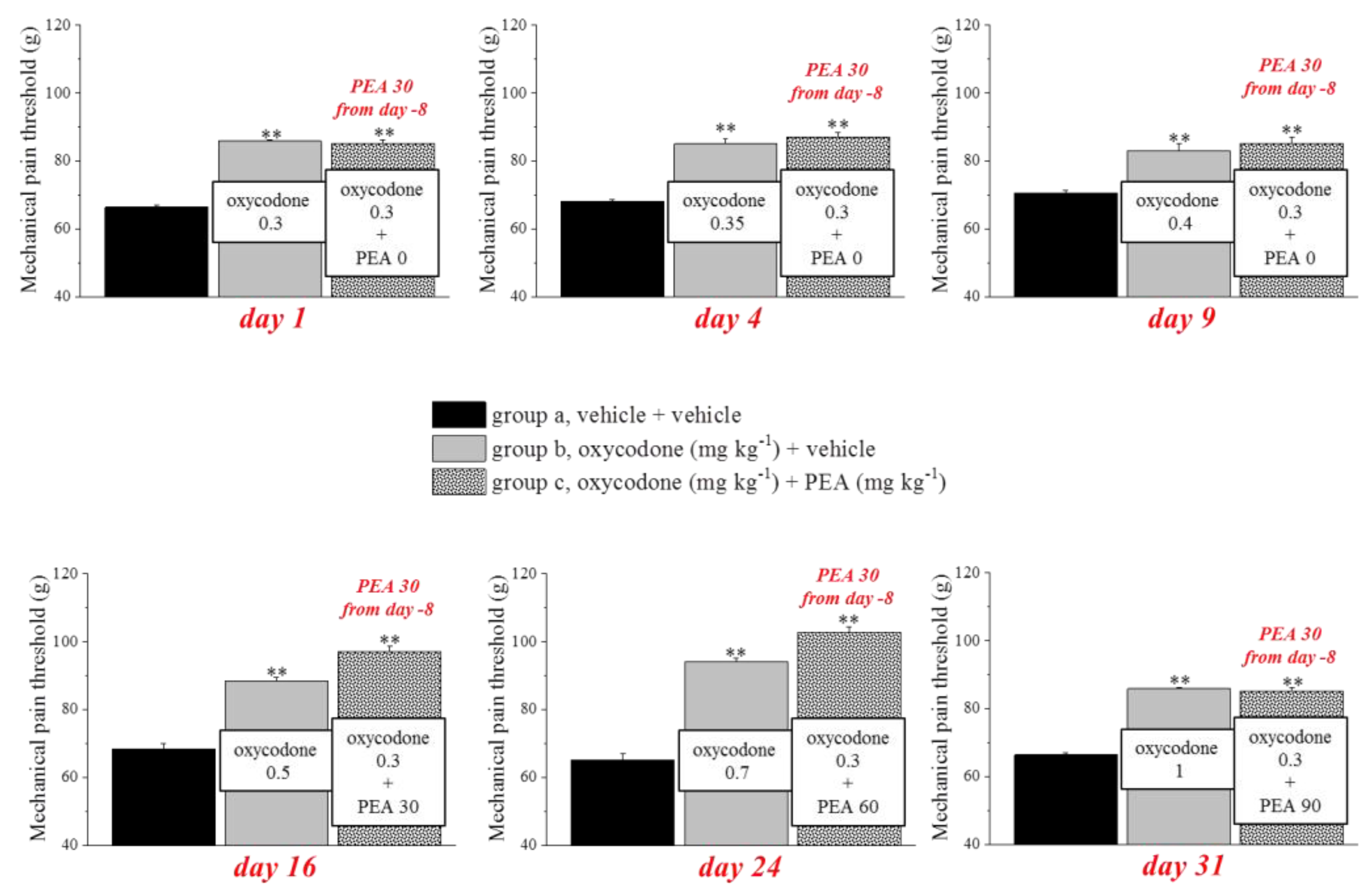 Pharmaceutics 14 00403 g005