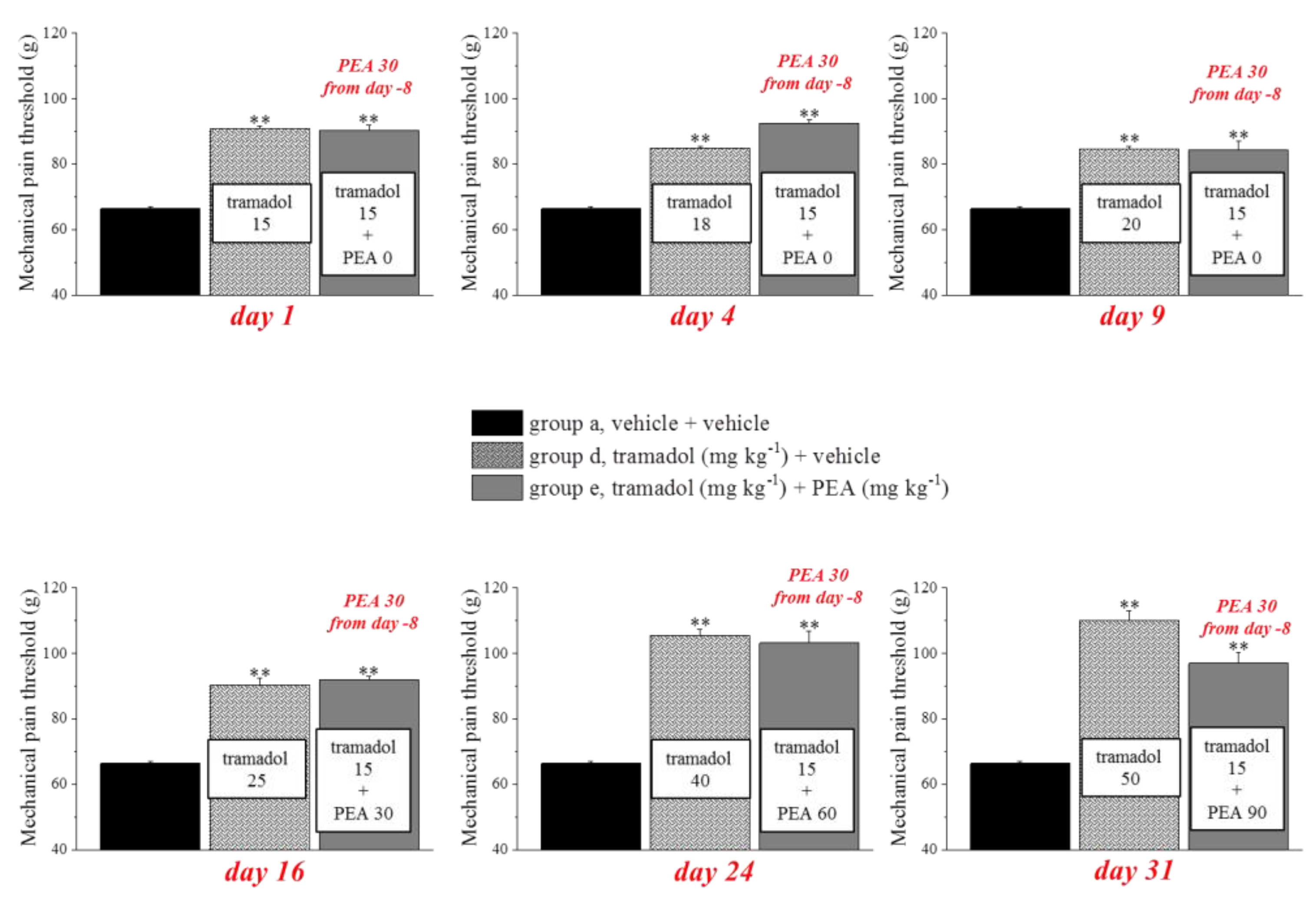 Pharmaceutics 14 00403 g006