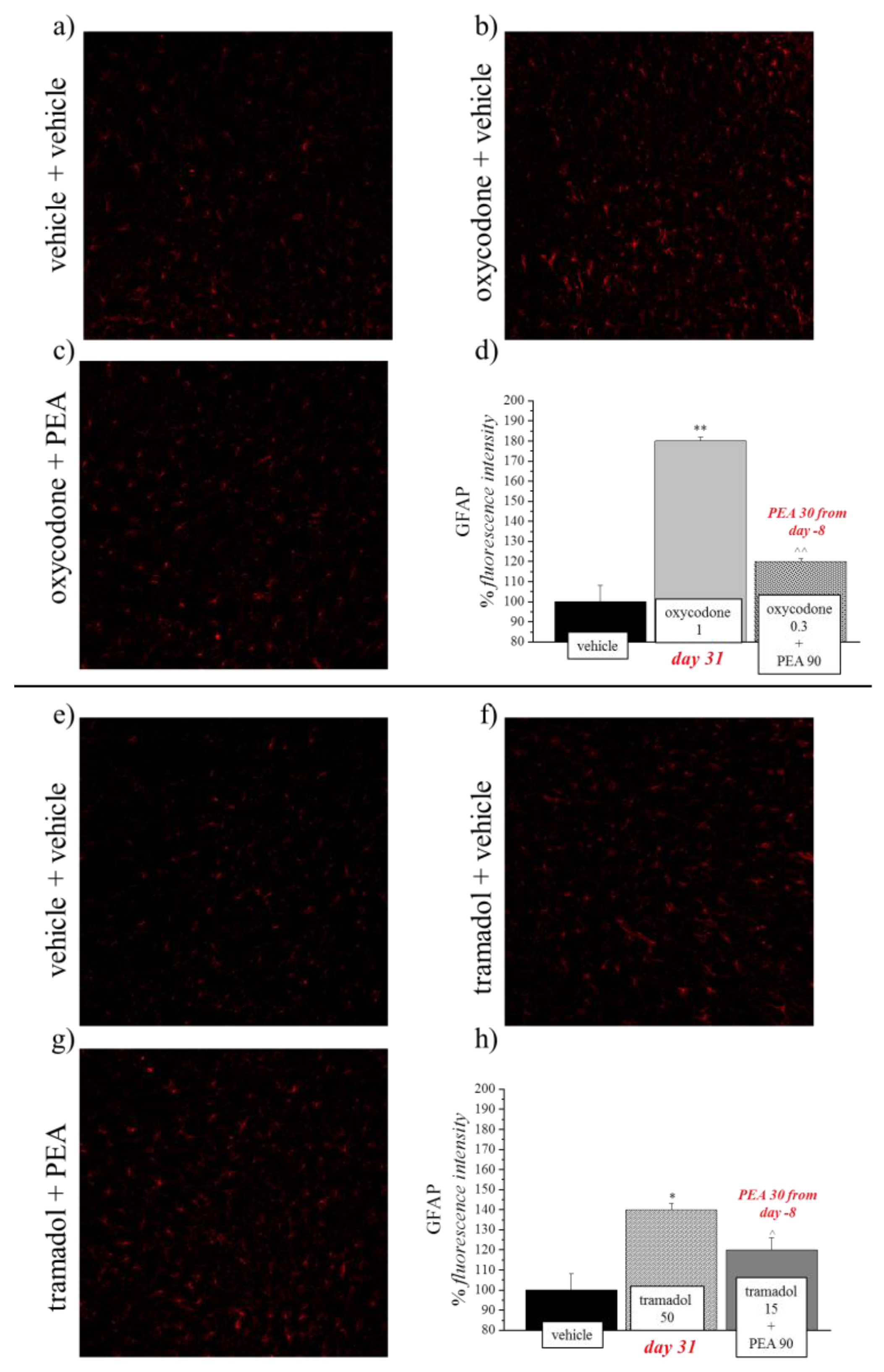 Pharmaceutics 14 00403 g008