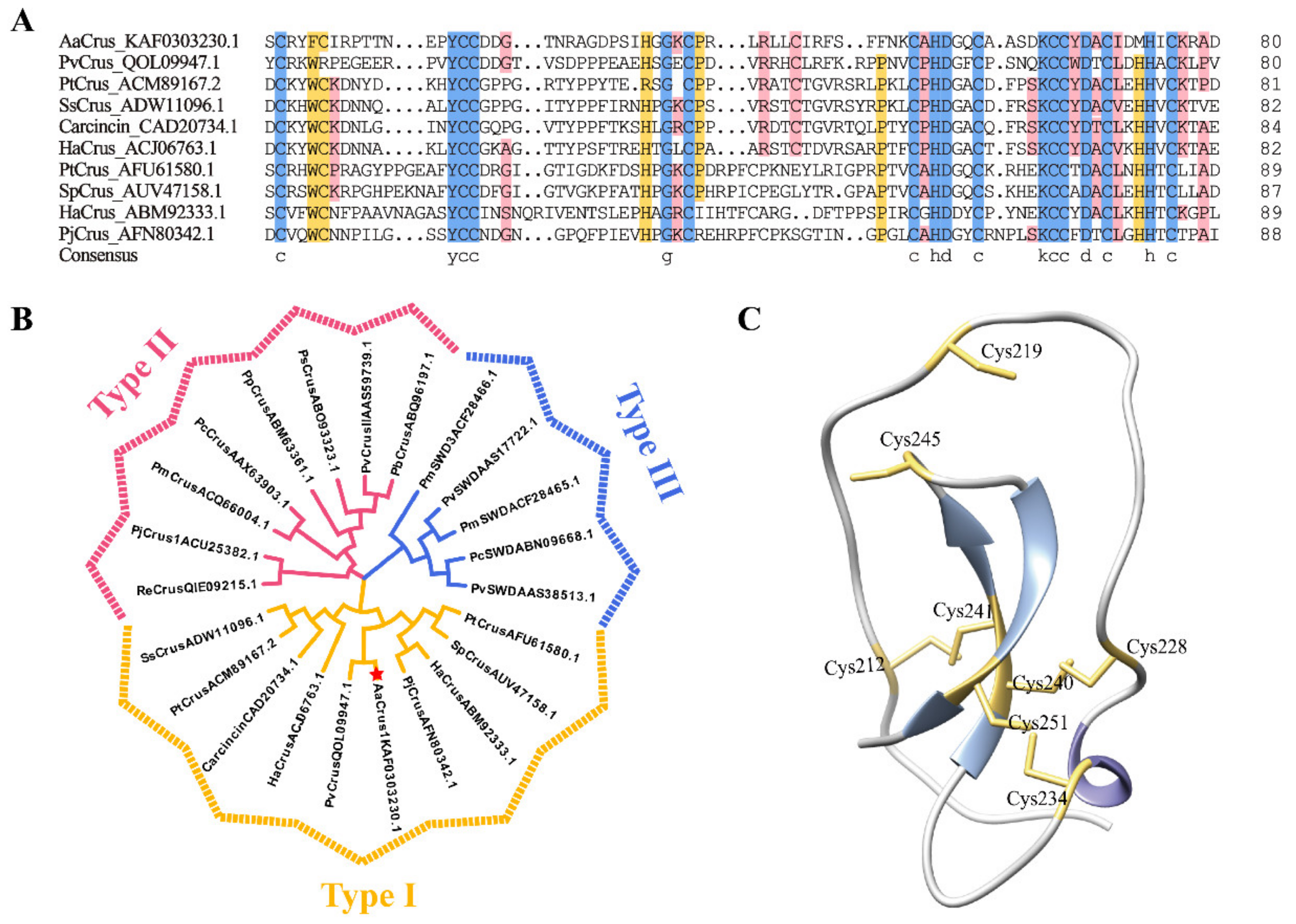 Pharmaceutics 14 00413 g002