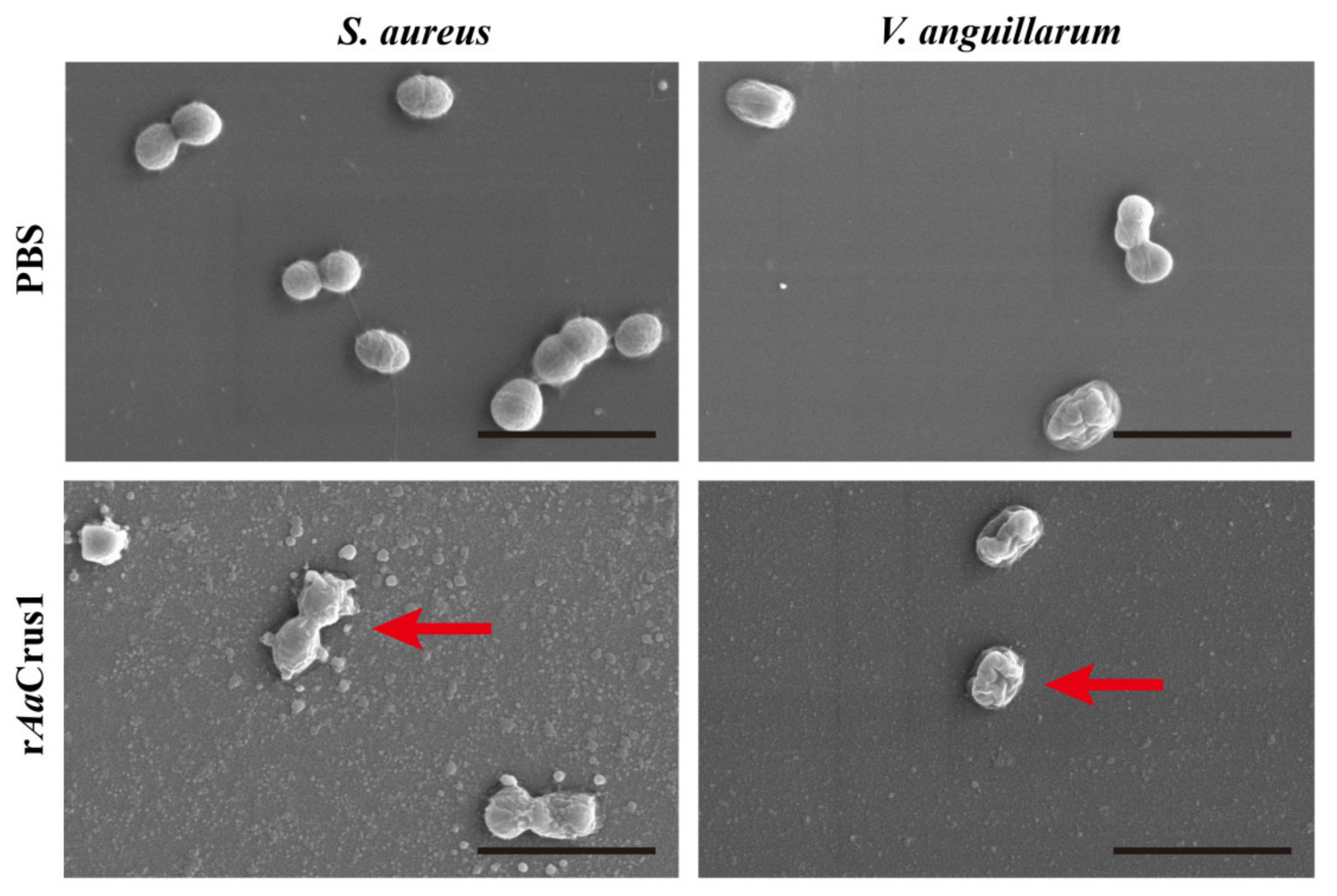 Pharmaceutics 14 00413 g006