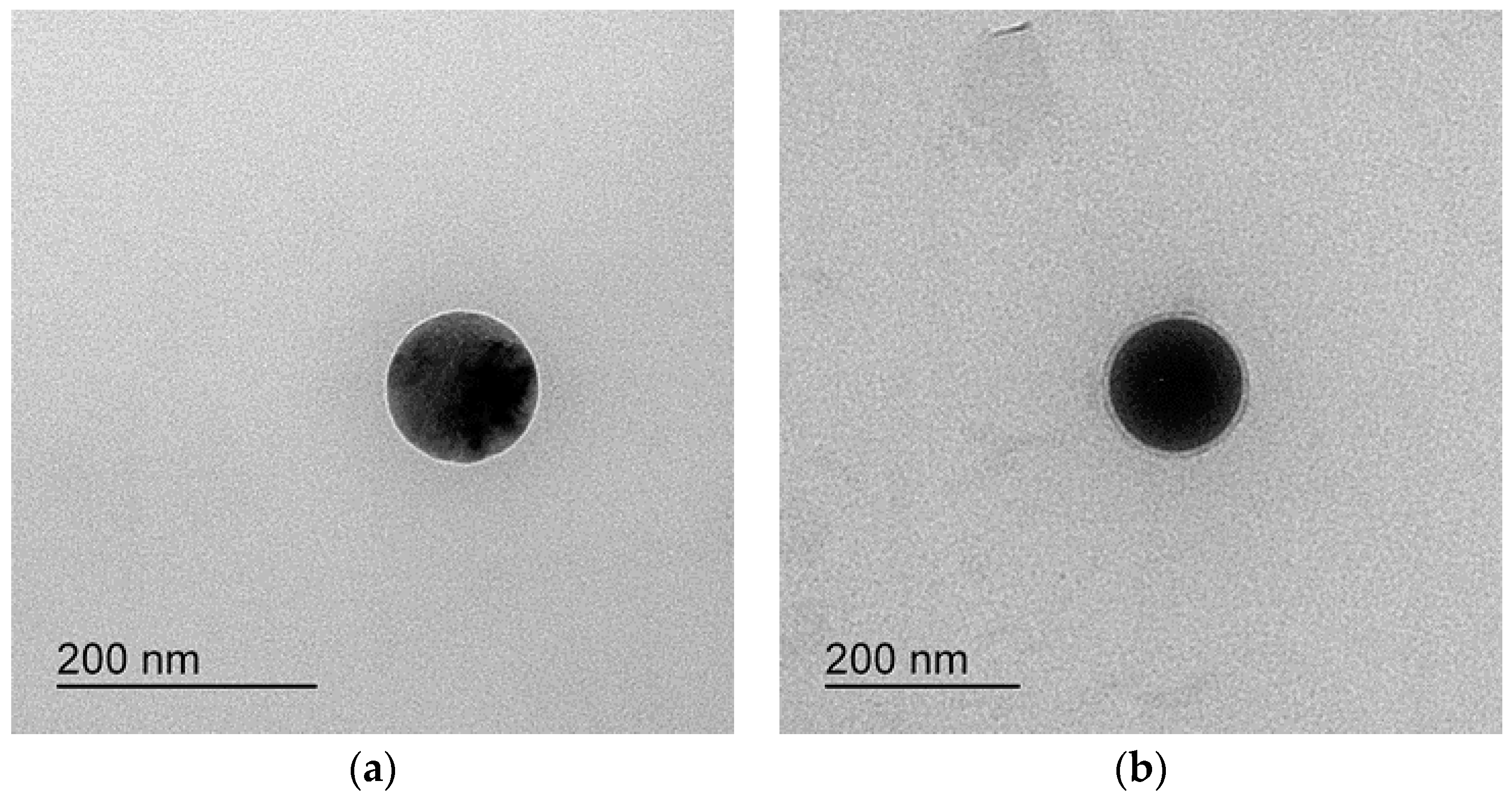 Pharmaceutics 14 00415 g003