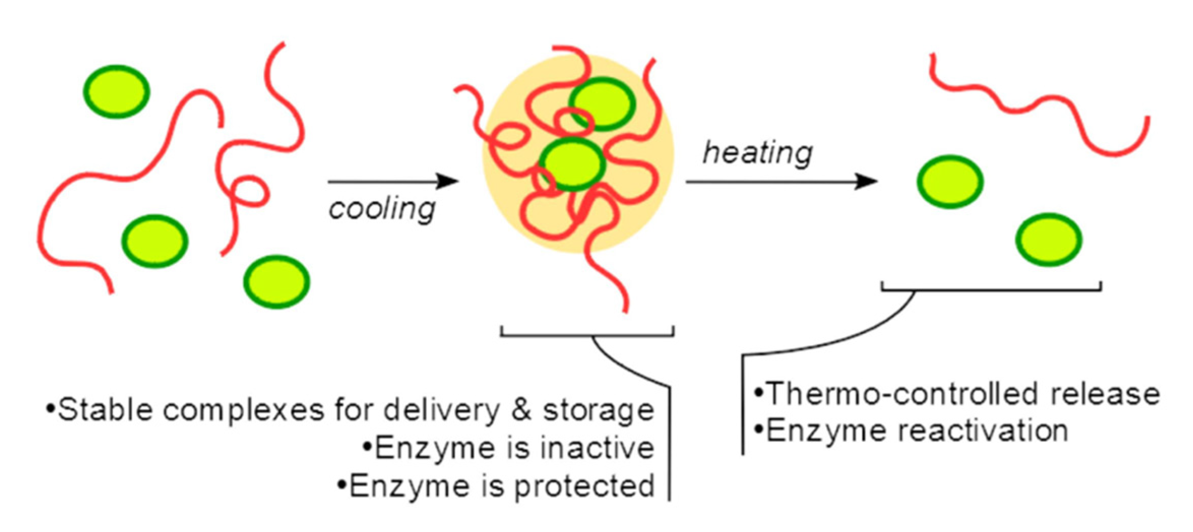 Pharmaceutics 14 00421 g009
