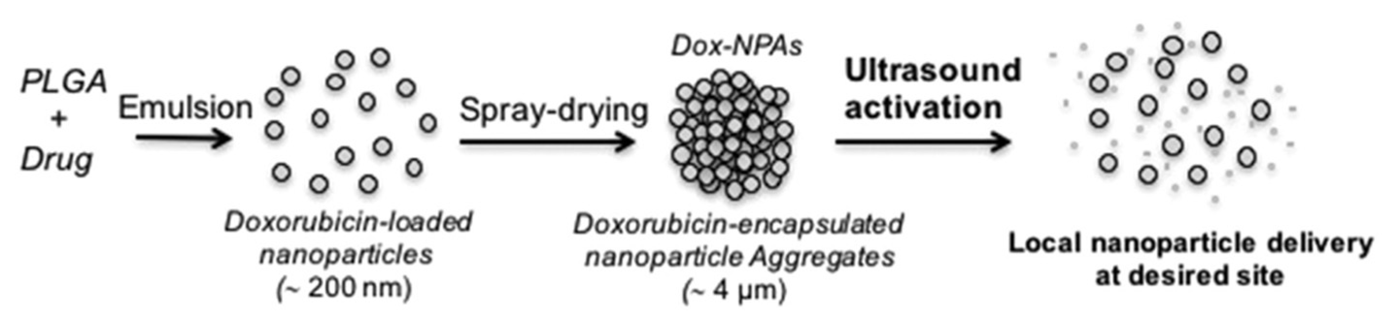 Pharmaceutics 14 00421 g011