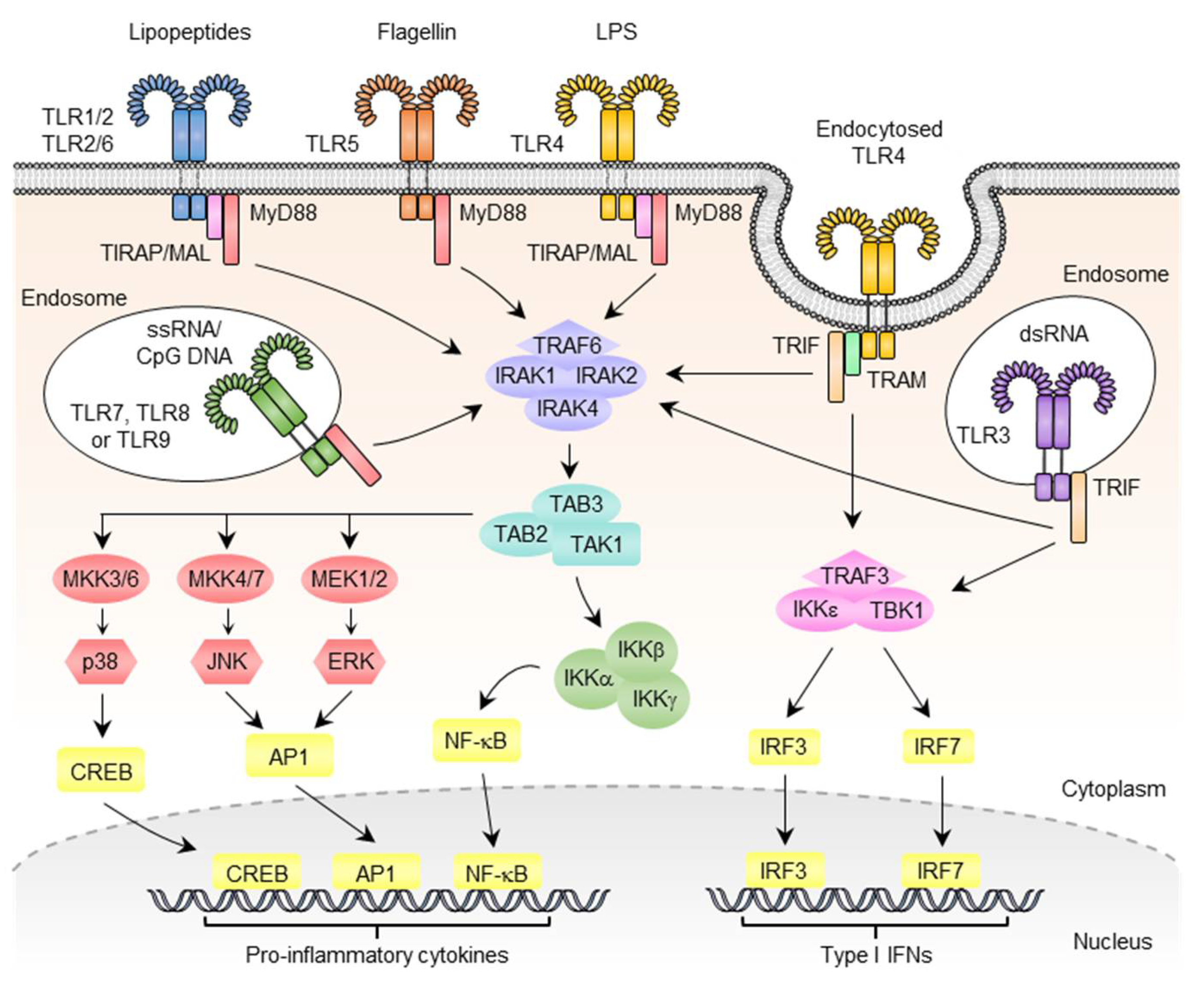 Pharmaceutics 14 00423 g002