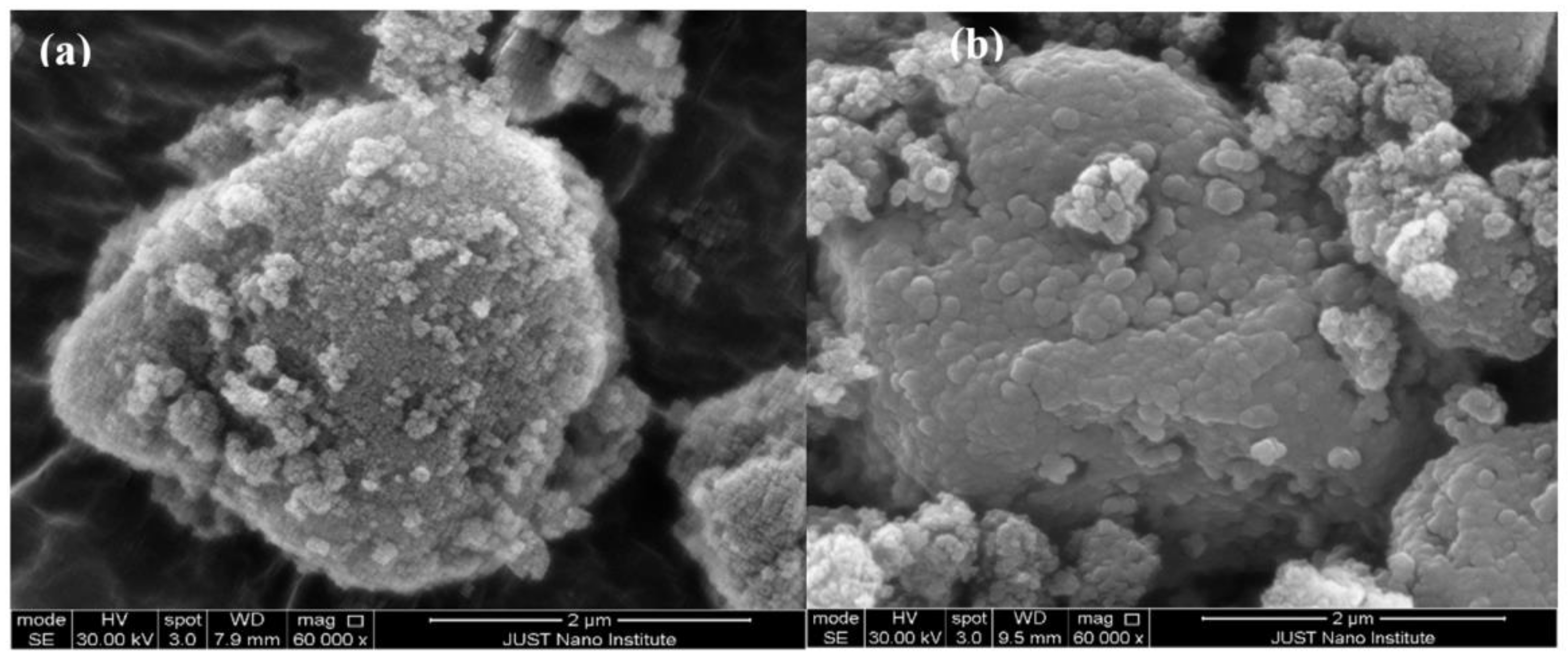 Pharmaceutics 14 00425 g006