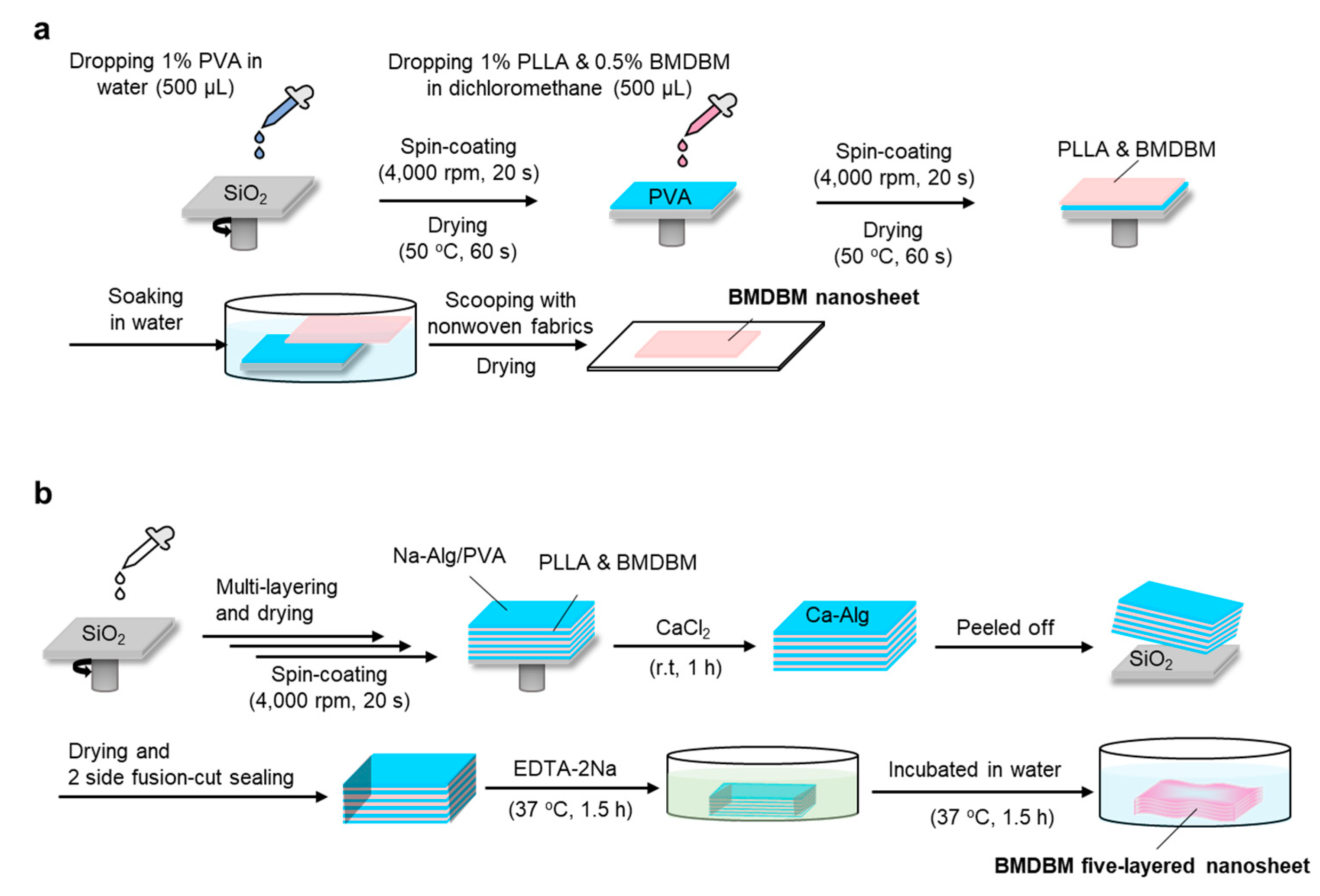 Pharmaceutics 14 00431 g001