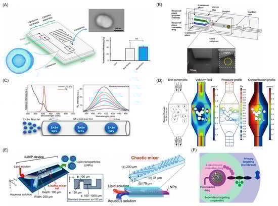 Pharmaceutics 14 00434 g001 550