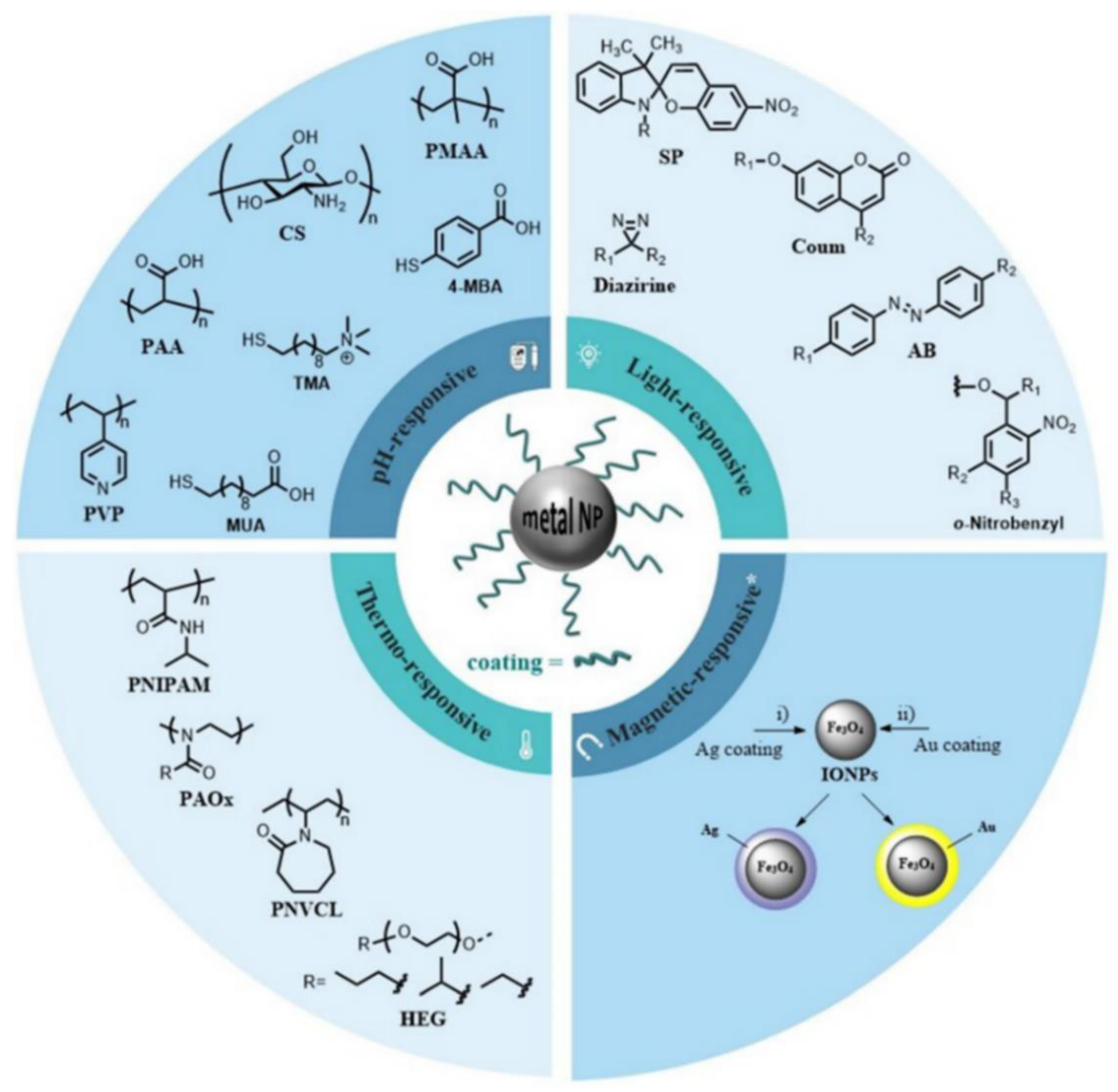 Pharmaceutics 14 00435 g001