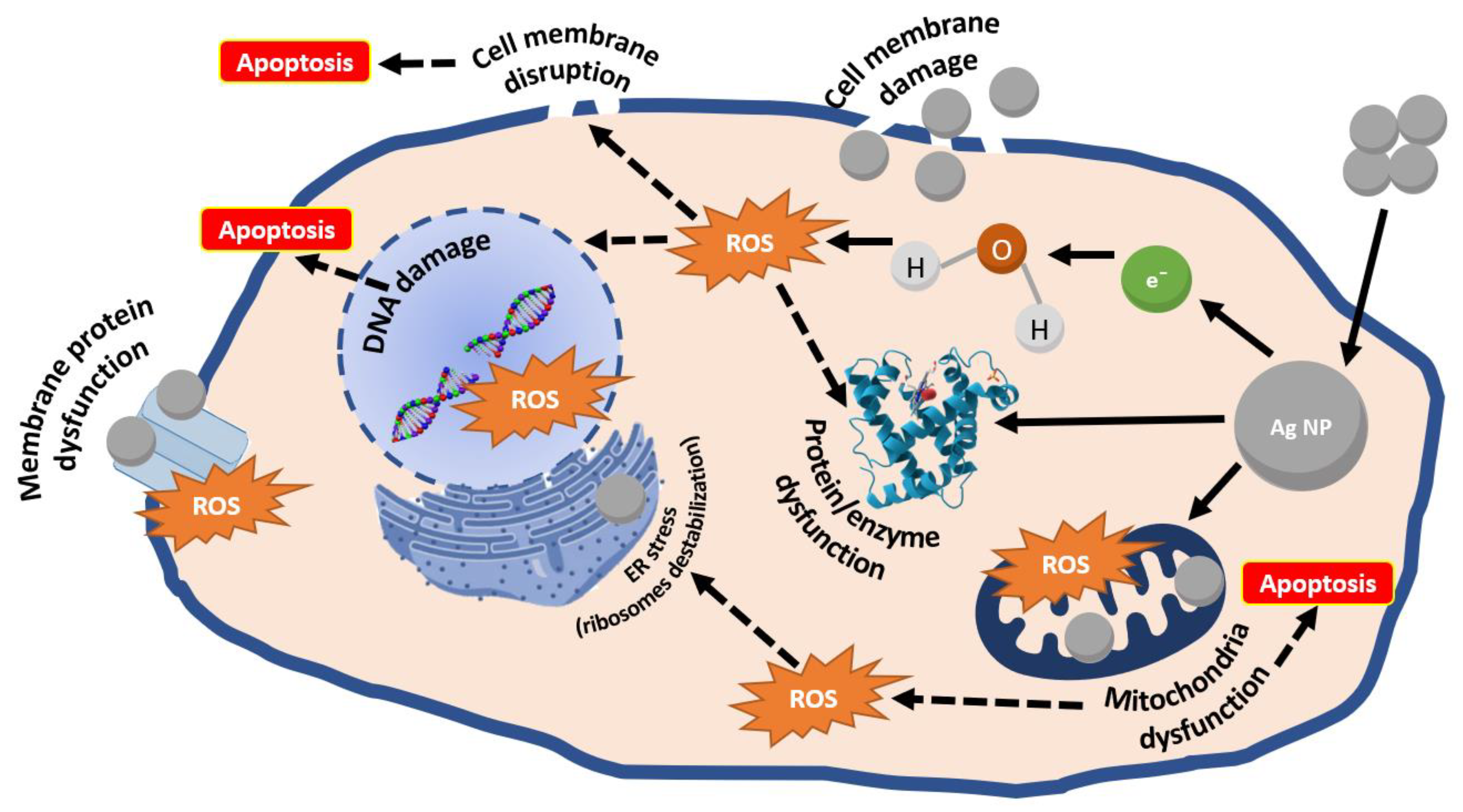 Pharmaceutics 14 00435 g003