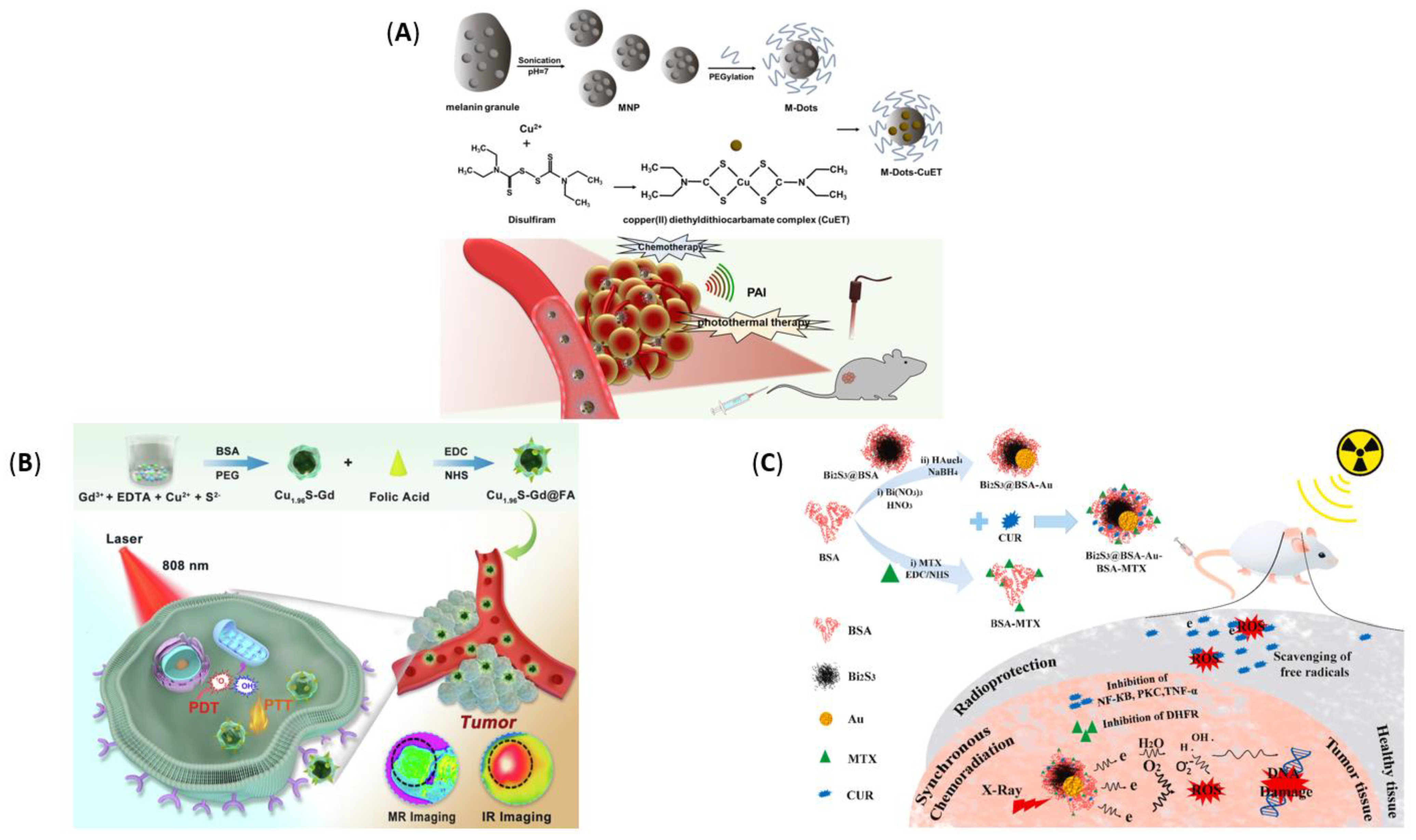 Pharmaceutics 14 00435 g012