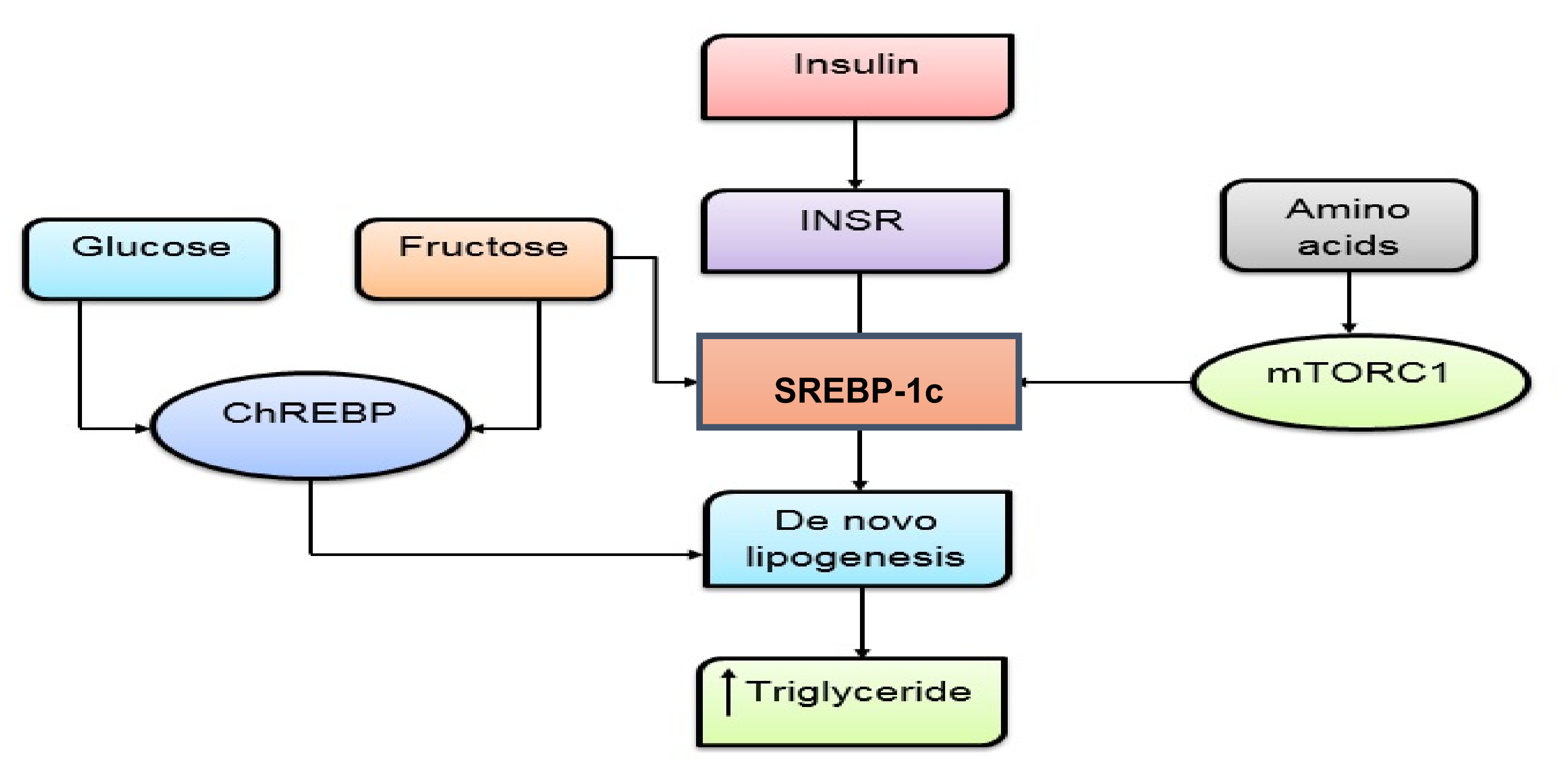 Pharmaceutics 14 00436 g002