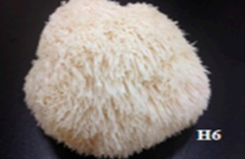 Pharmaceutics 14 00436 i011