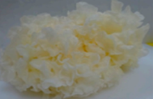 Pharmaceutics 14 00436 i014