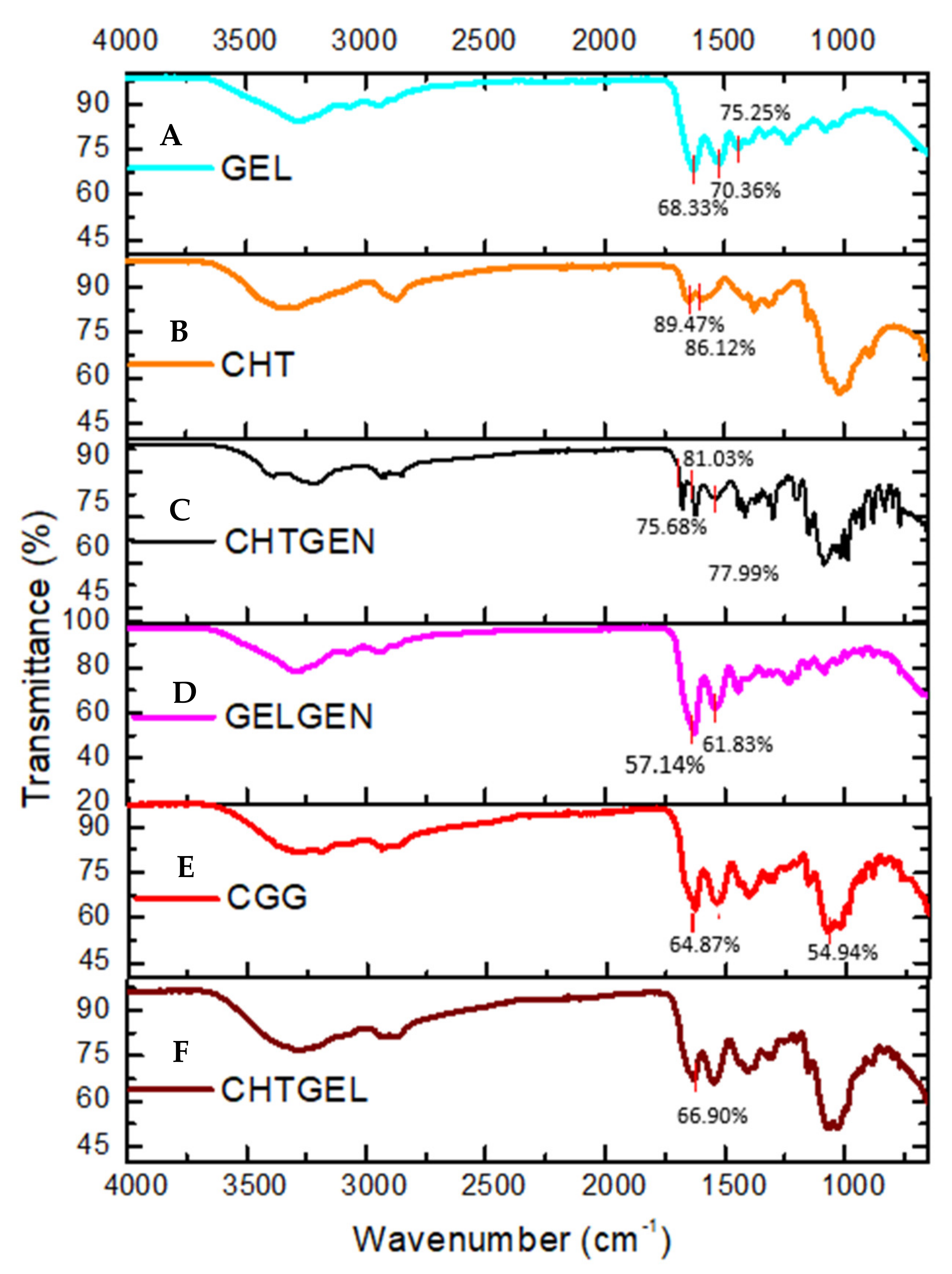 Pharmaceutics 14 00441 g002