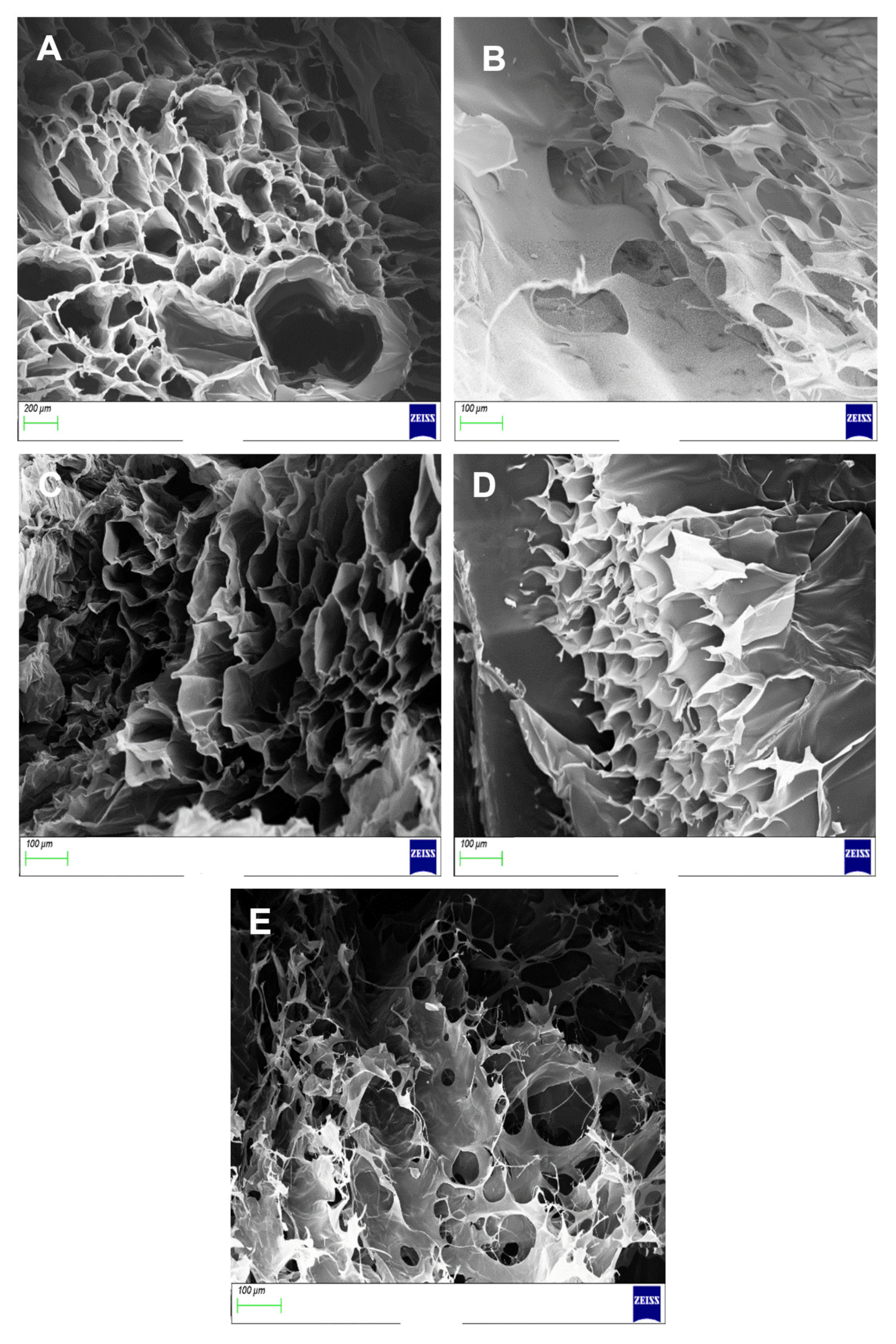 Pharmaceutics 14 00441 g010