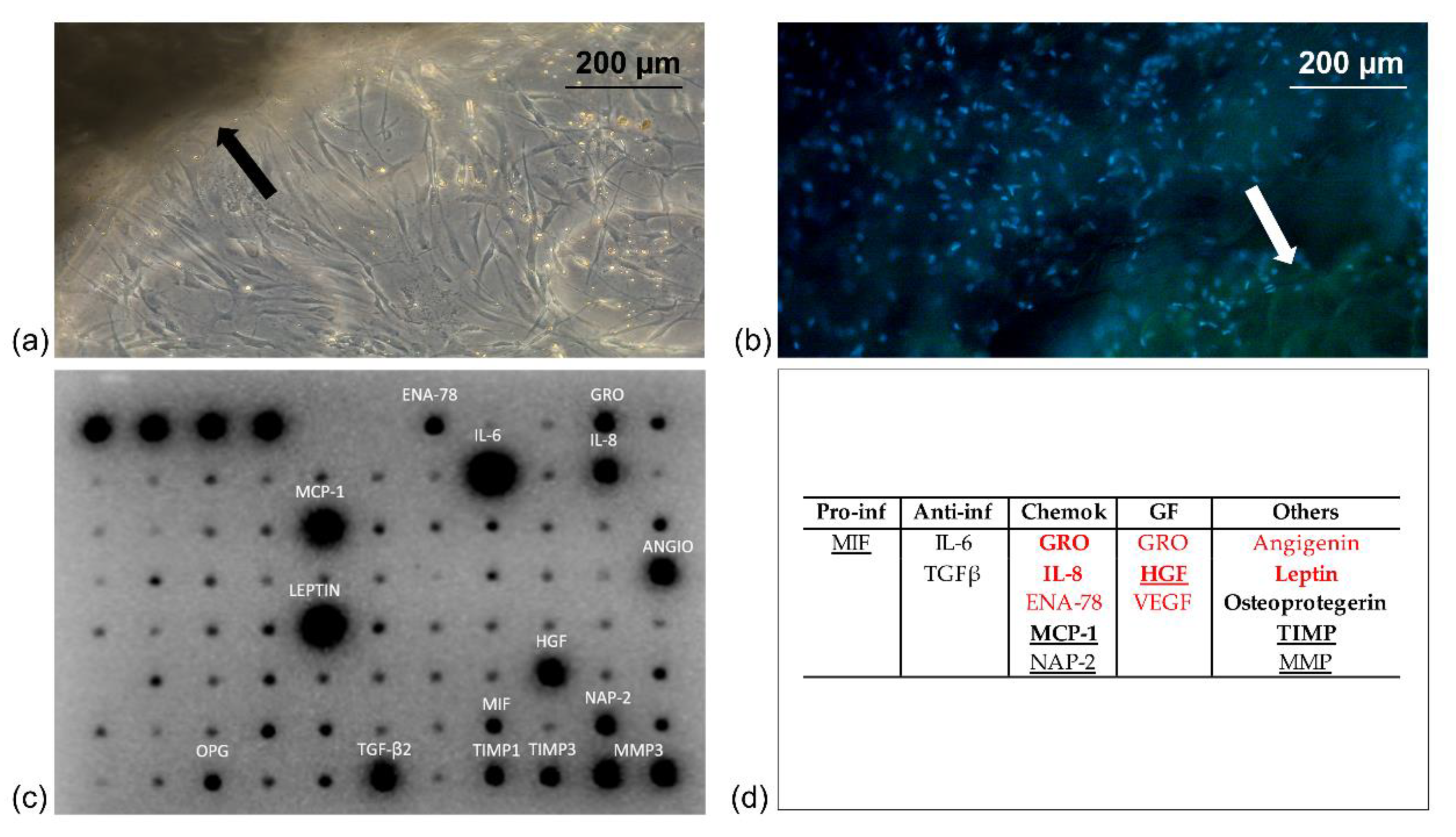 Pharmaceutics 14 00447 g001