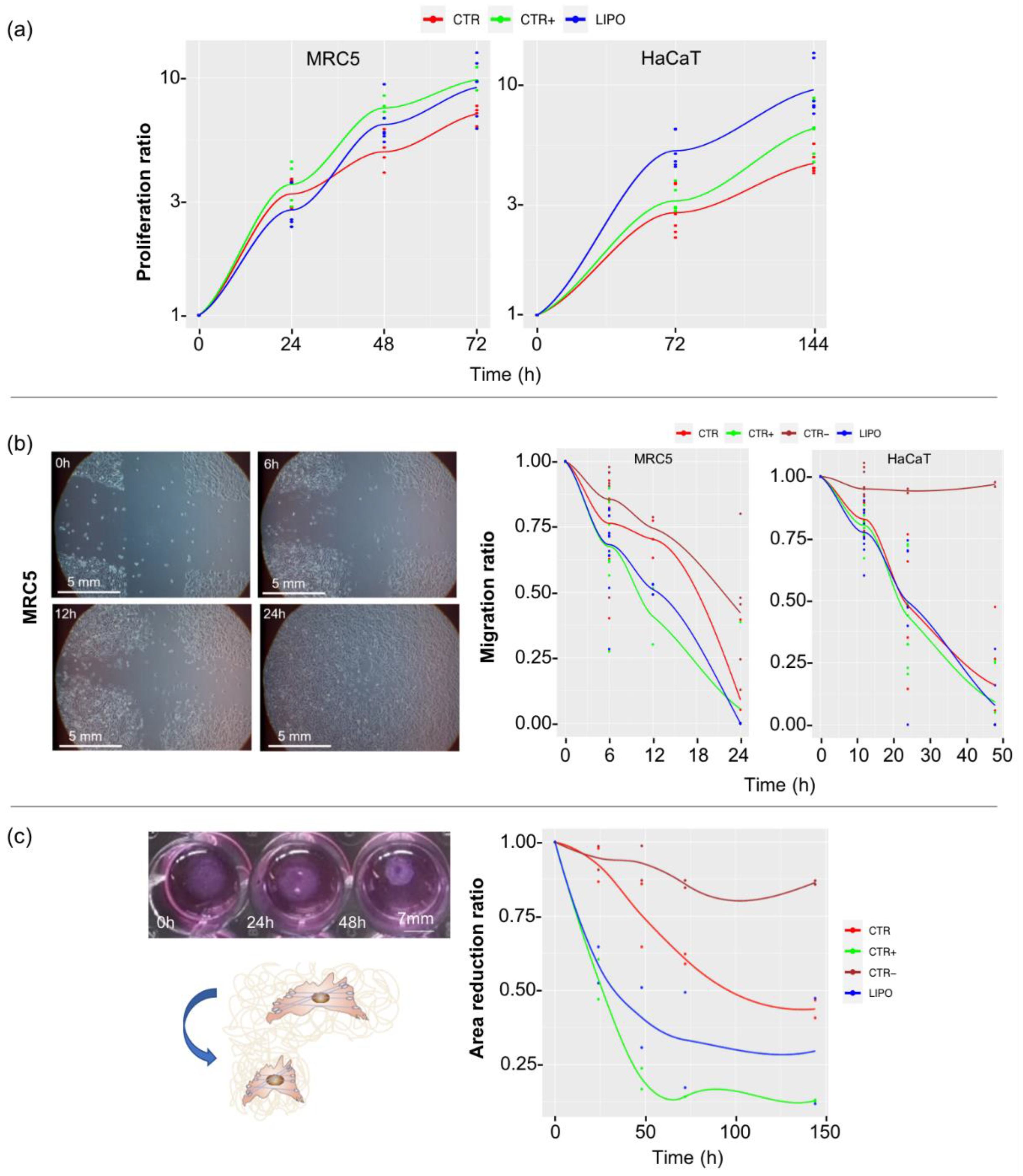 Pharmaceutics 14 00447 g002