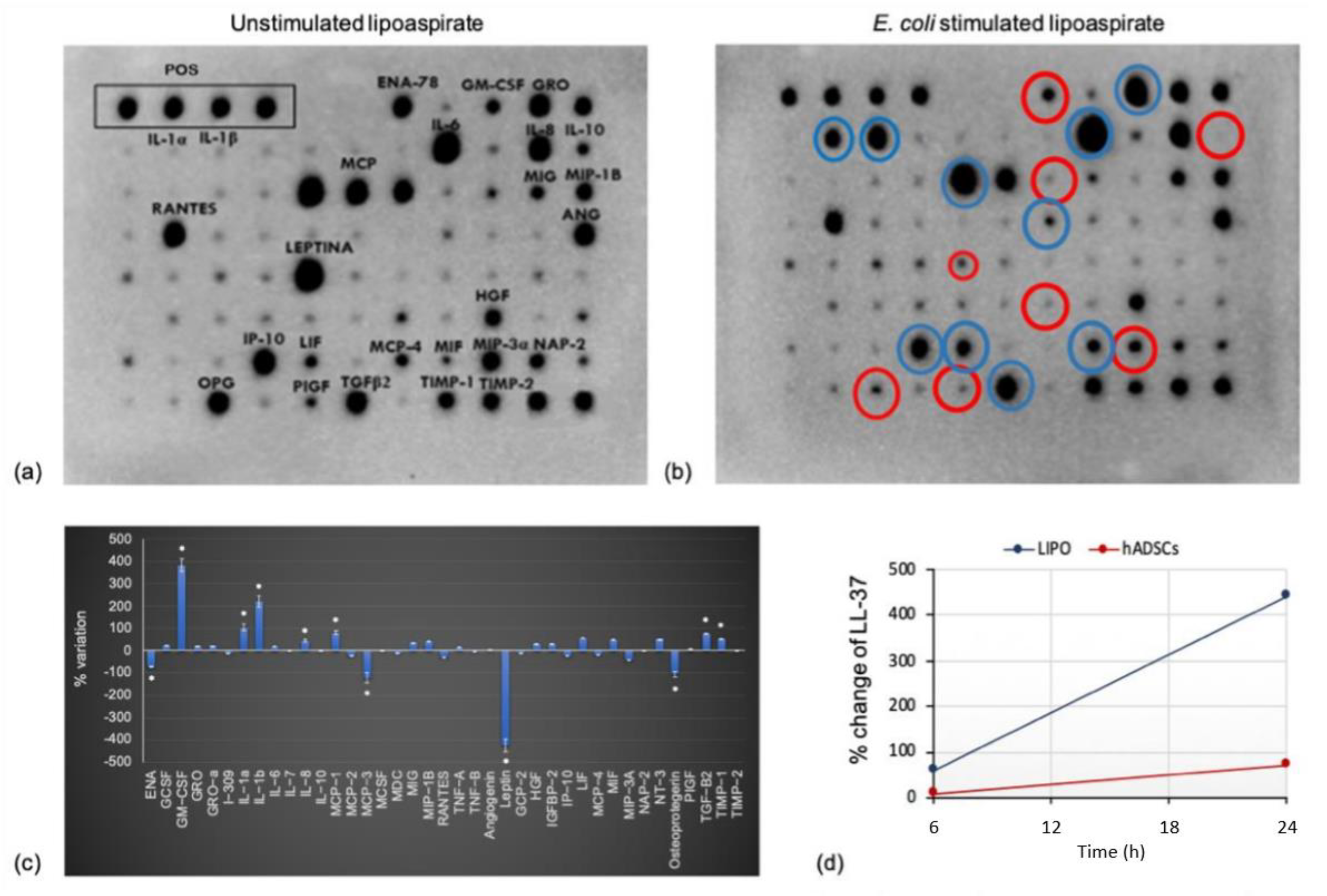 Pharmaceutics 14 00447 g005