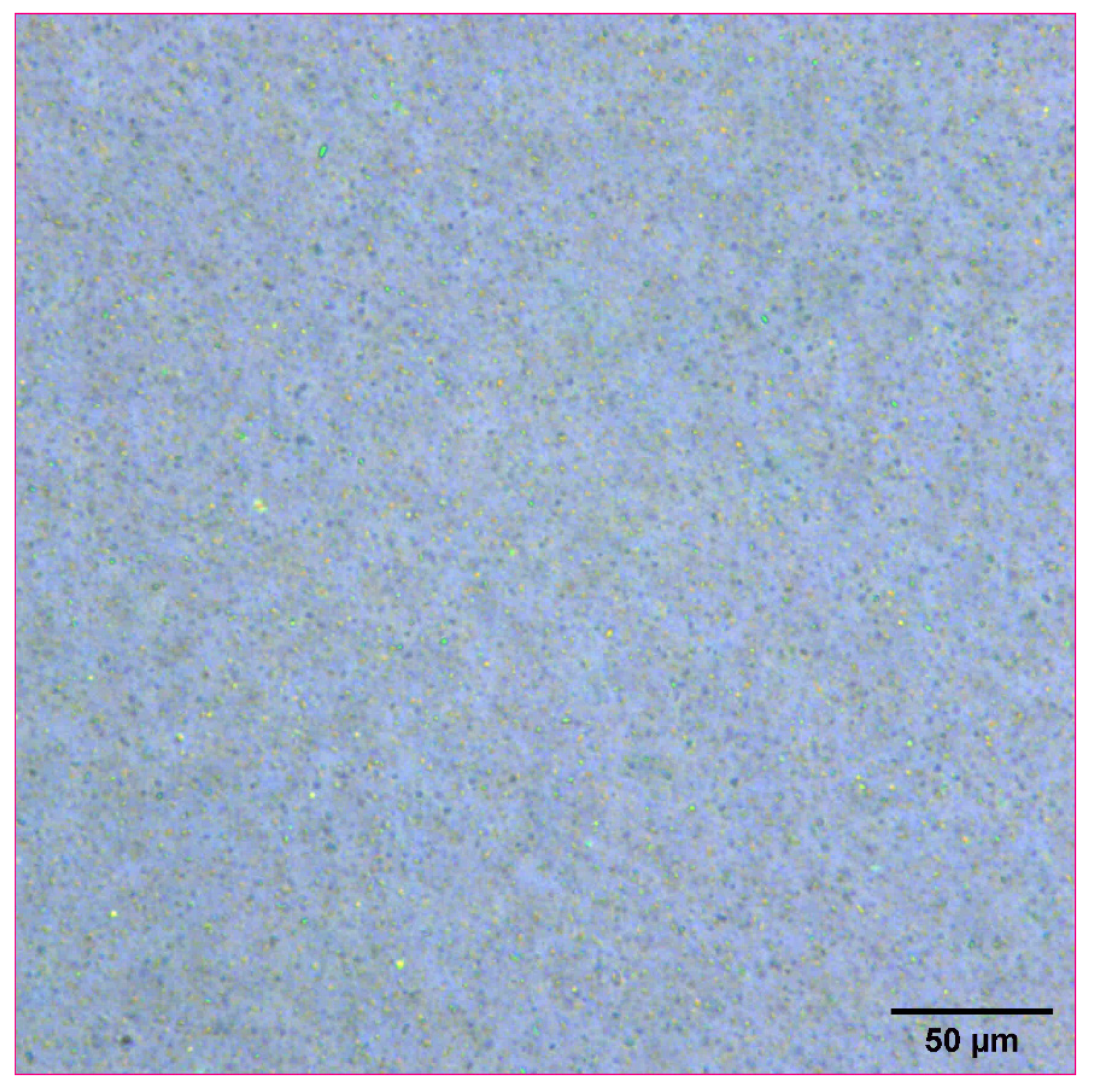 Pharmaceutics 14 00449 g002