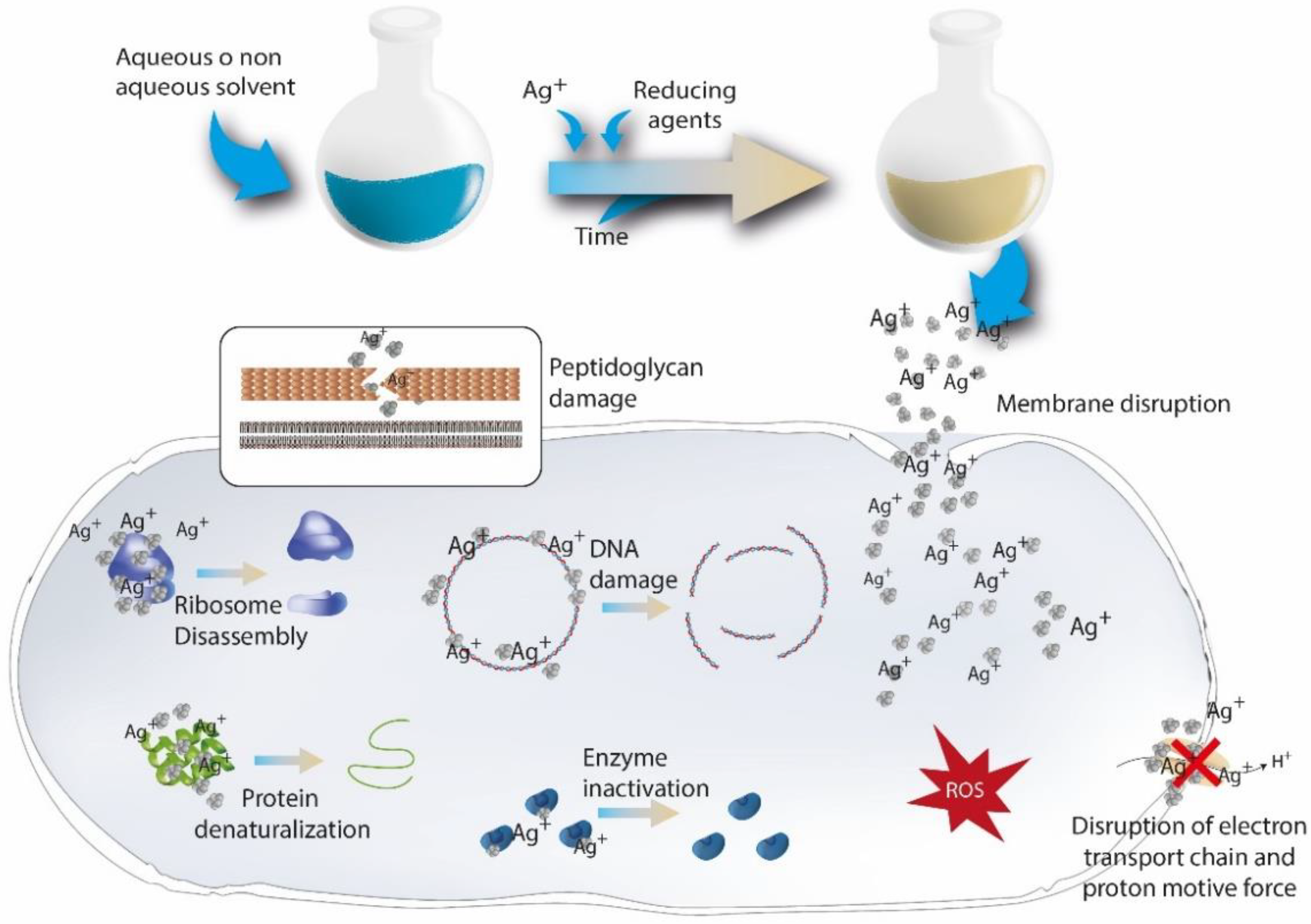 Pharmaceutics 14 00455 g006