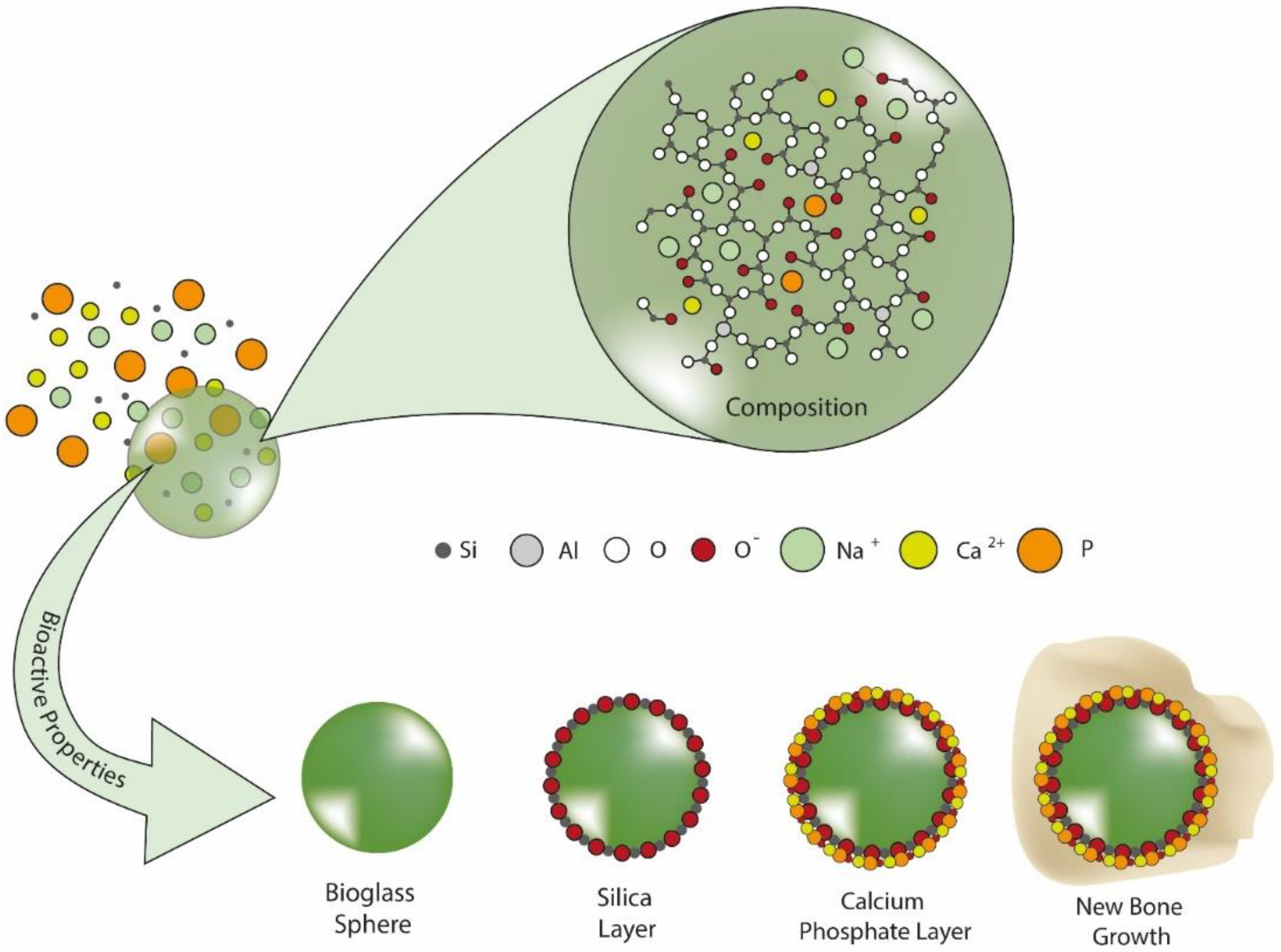 Pharmaceutics 14 00455 g007