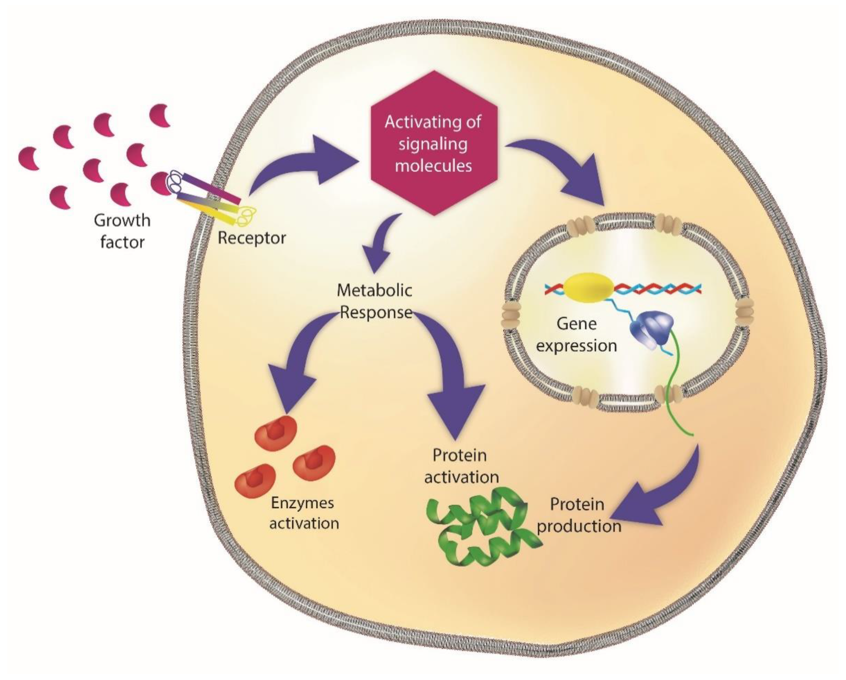 Pharmaceutics 14 00455 g008