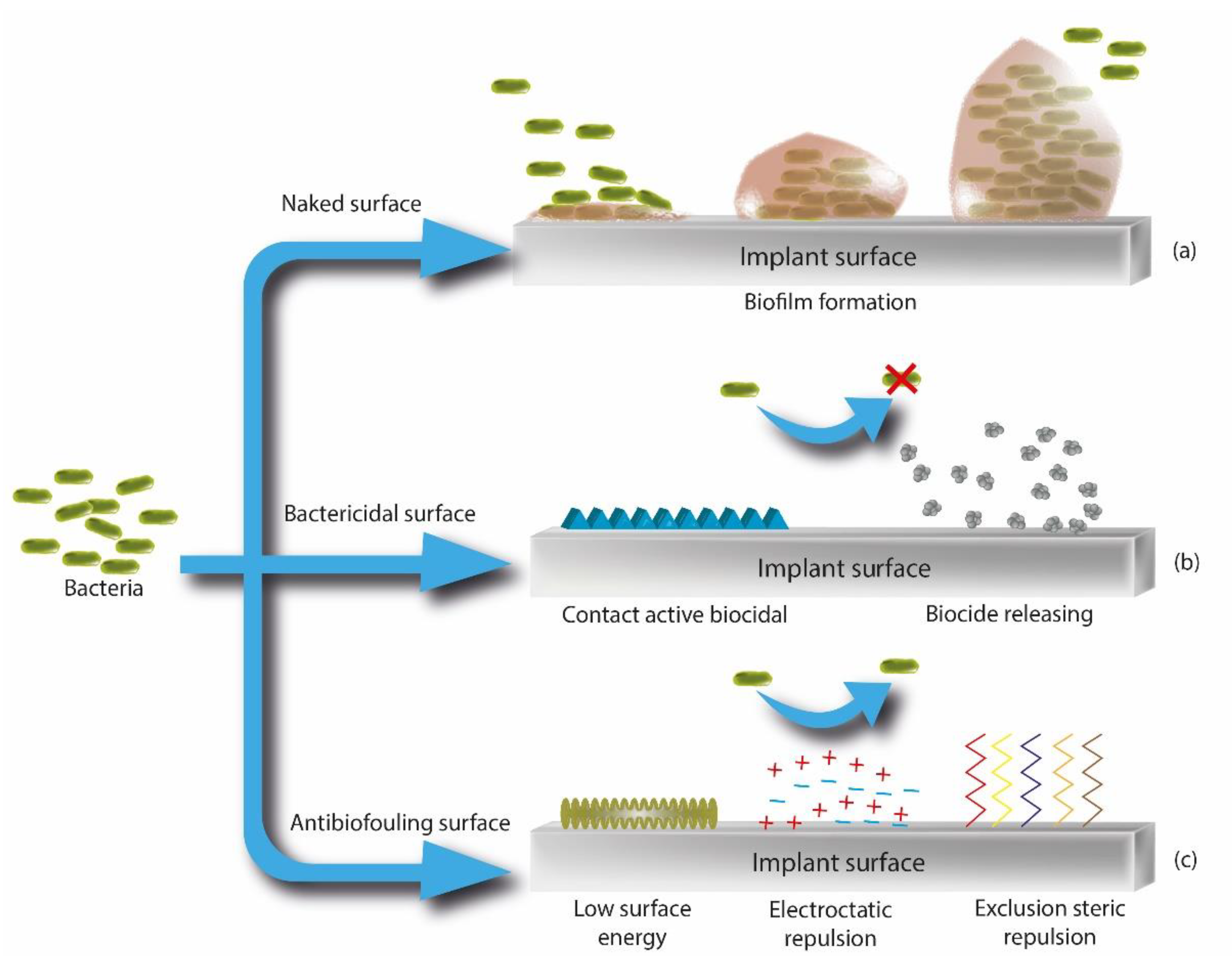 Pharmaceutics 14 00455 g009