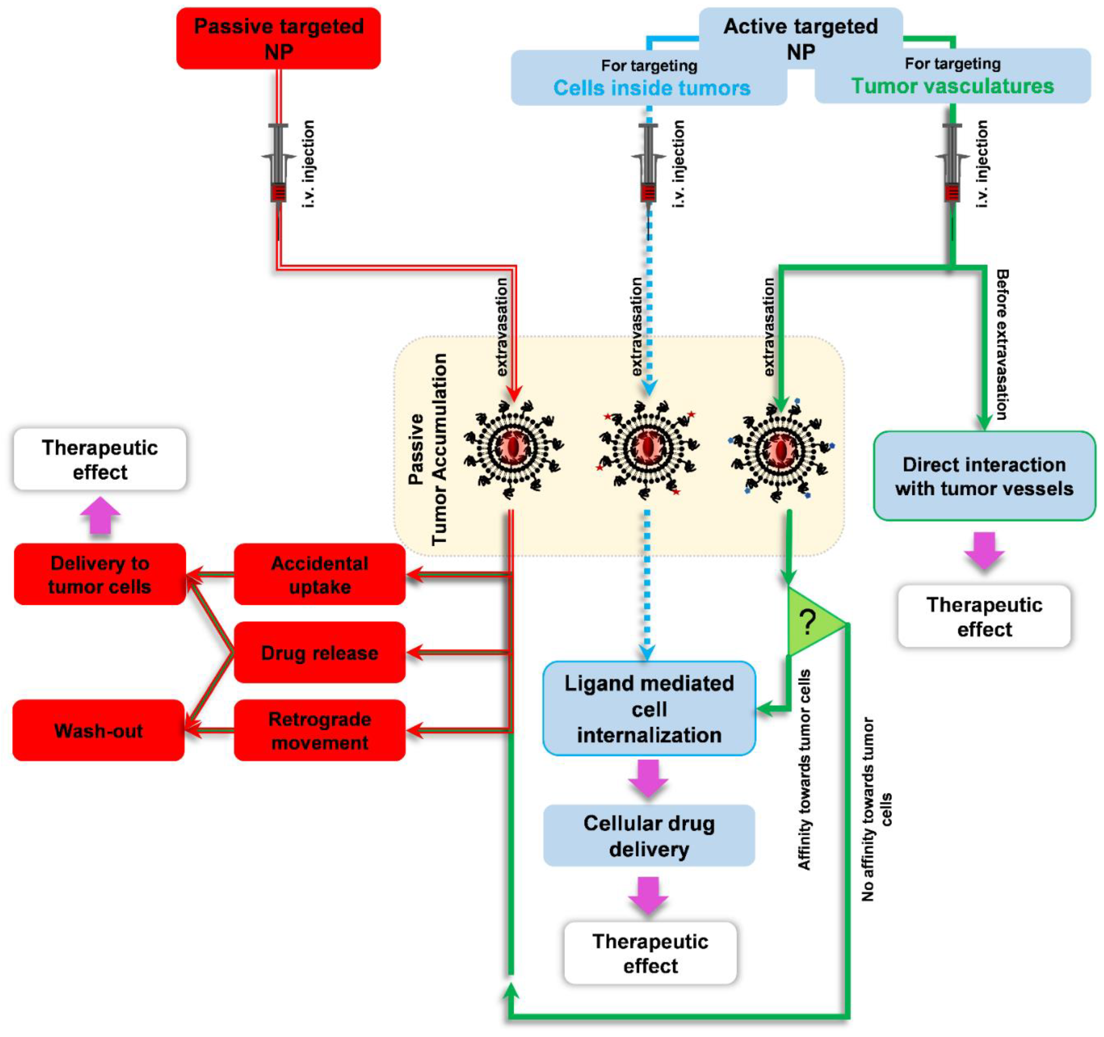 Pharmaceutics 14 00458 g010 Pharmaceutics 14 00458 g010