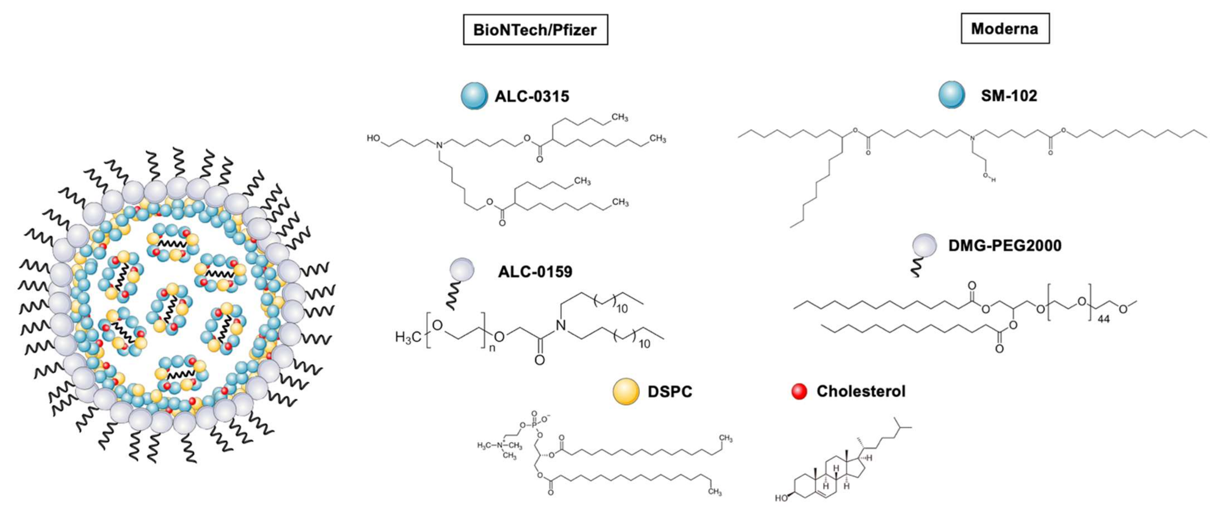 Pharmaceutics 14 00460 g001 Pharmaceutics 14 00460 g001