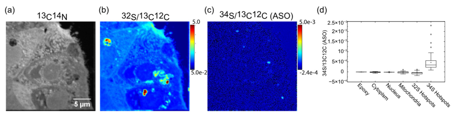 Pharmaceutics 14 00463 g001